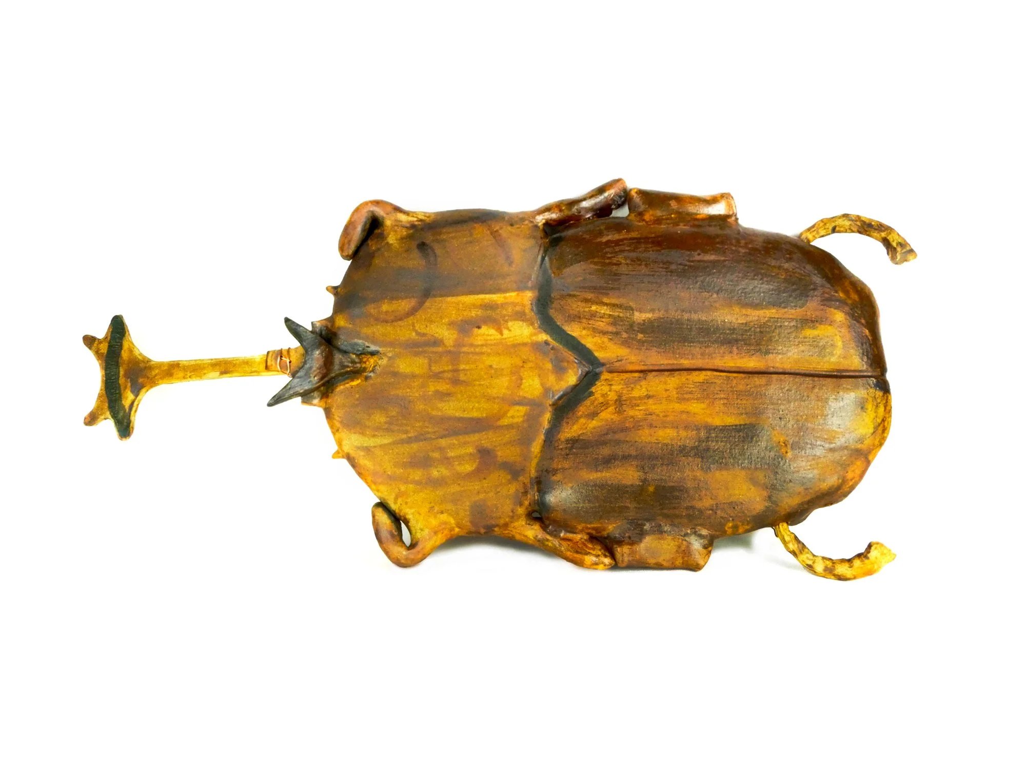 actaeonbeetle2.5x30x14-(1).jpg