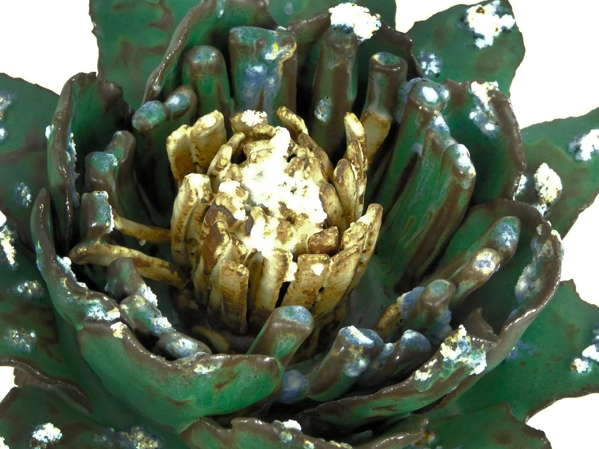 artichokeFlower5.5x12x12.5.2024-(4).jpg