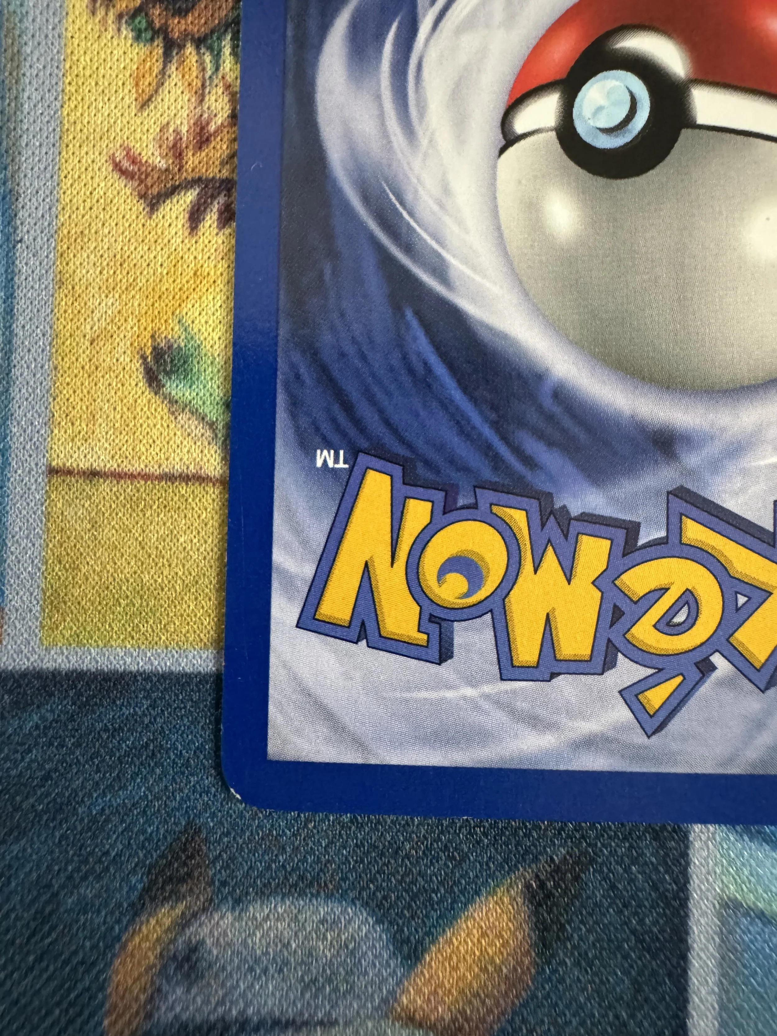 IMG_7116.jpeg