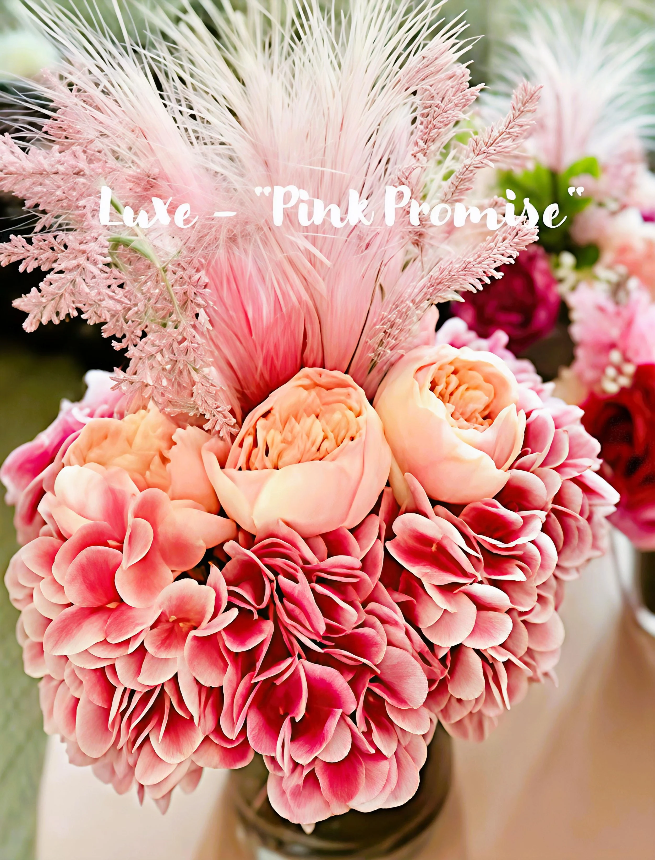 Luxe_Pink Promise_tagged.JPG