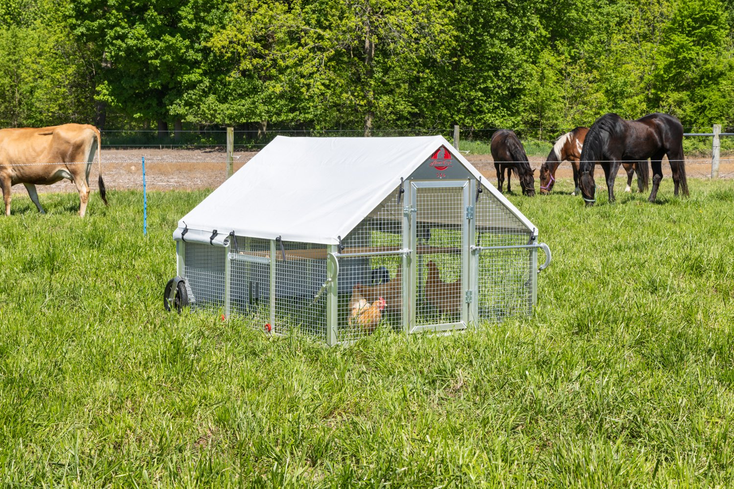 5 x 6 Alumi-Coop [#2 Layer Package].jpg