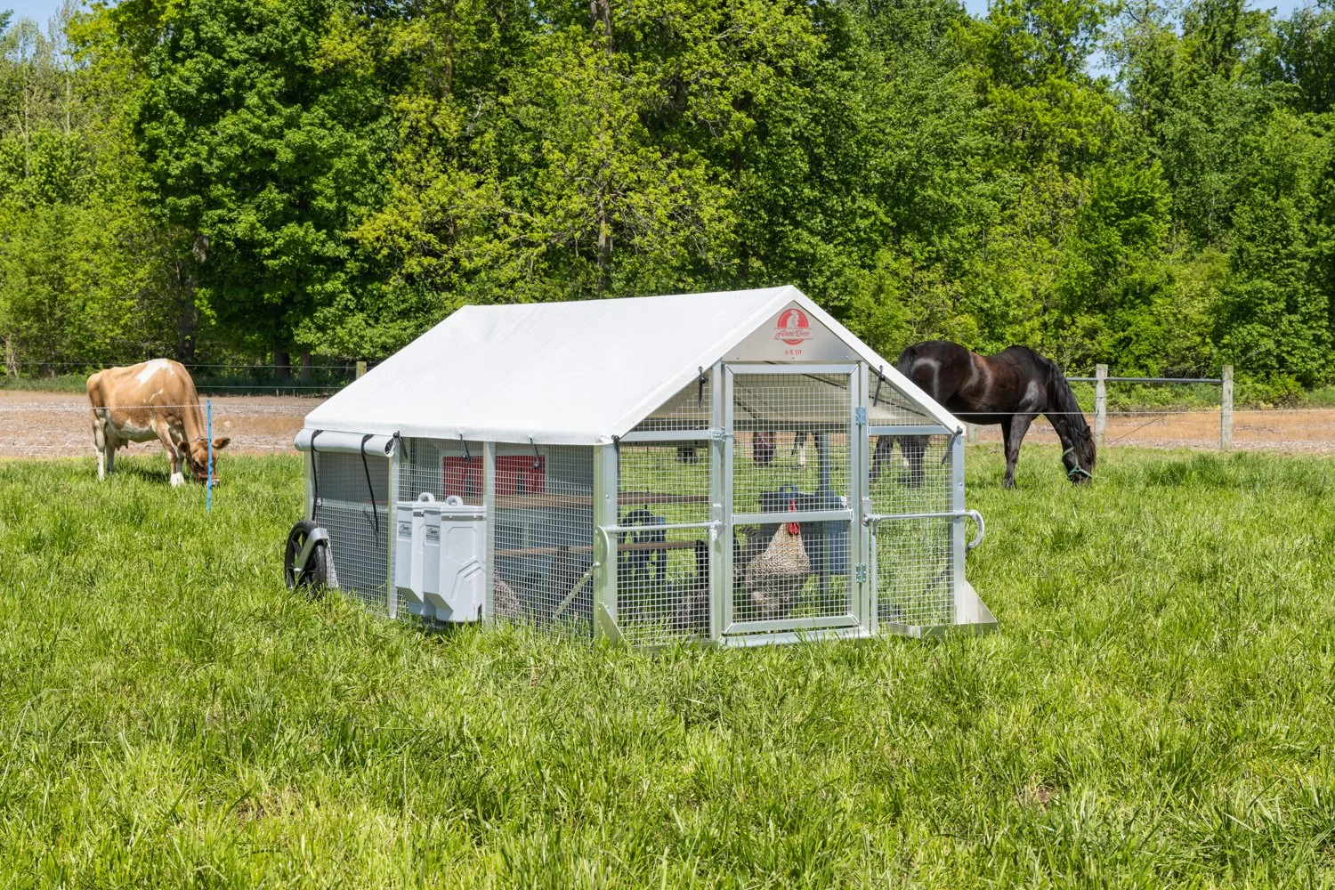 6 x 10 Alumi-Coop [#1 Layer Package].jpg