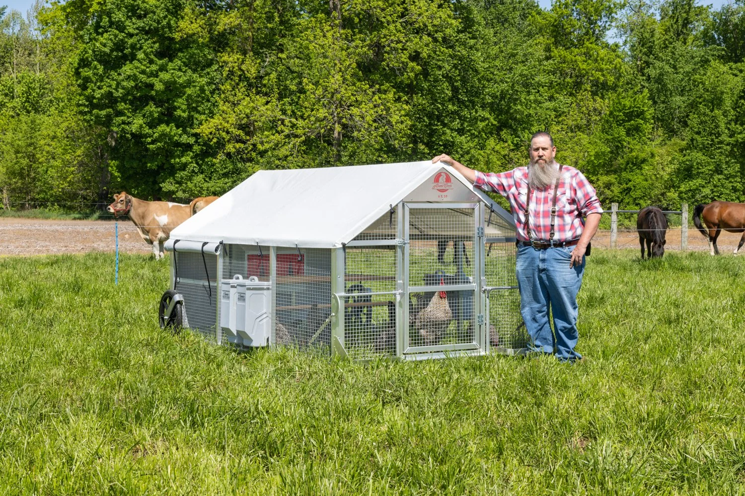 6 x 10 Alumi-Coop [Scale].jpg