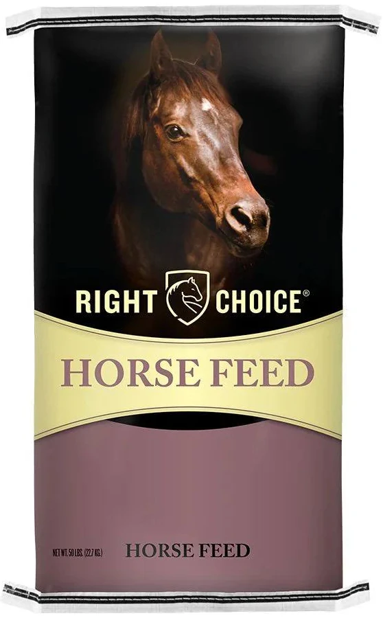 12-8 Horse.png