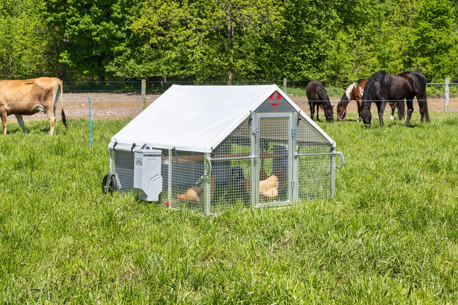 5 x 6 Alumi-Coop [#1 Layer Package].jpg