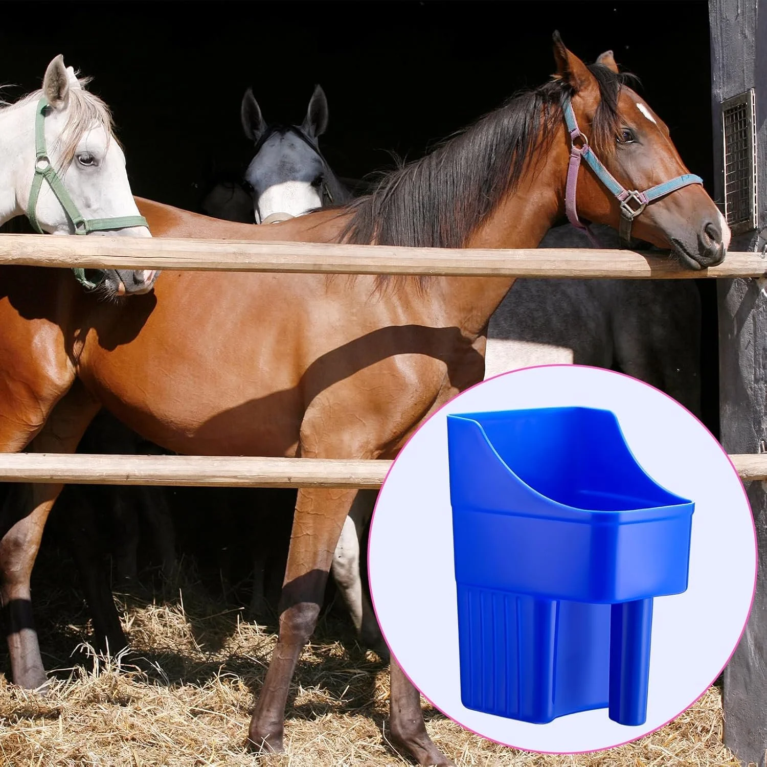 feed scoop 2.jpg