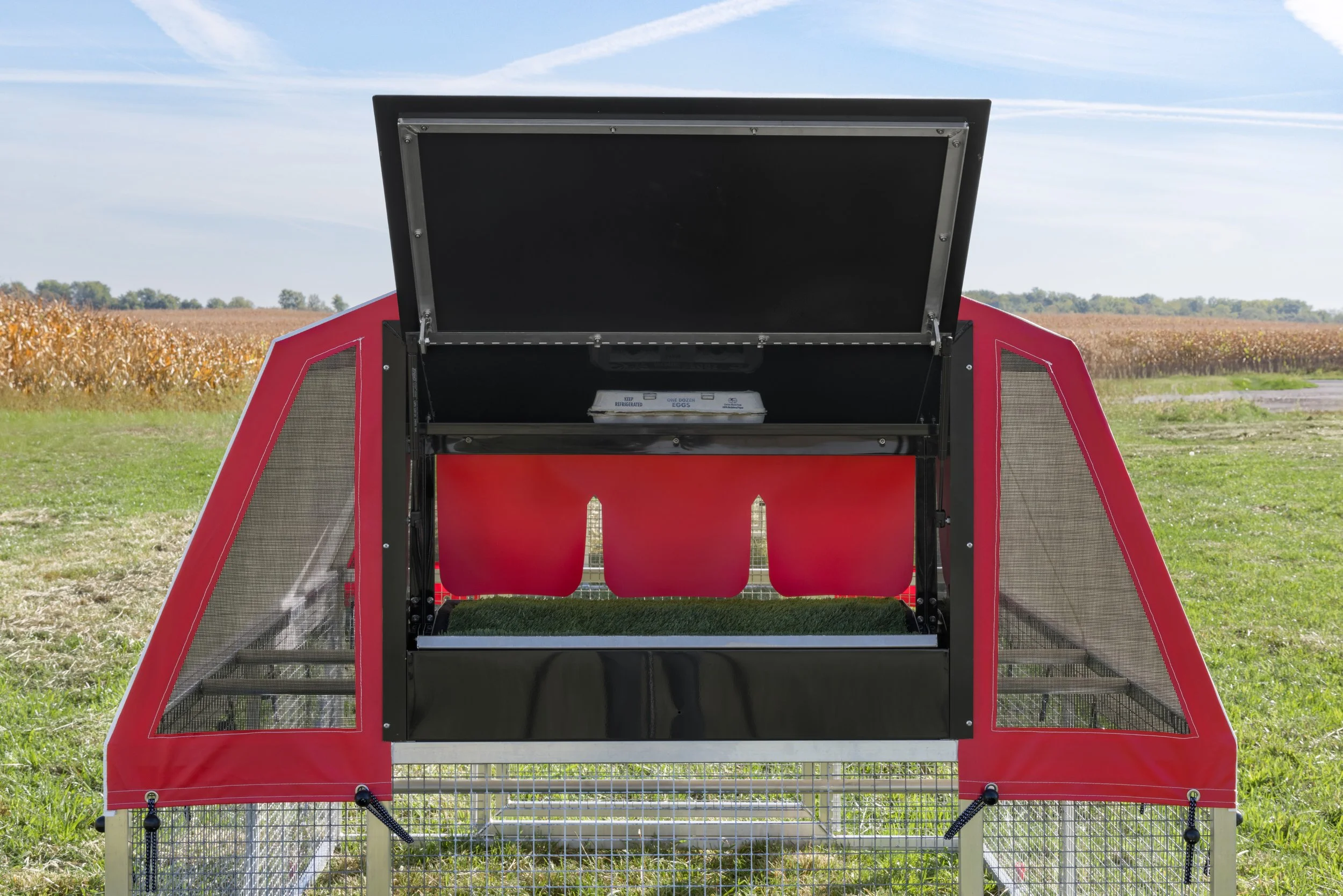 6 x 8 Redline Coop [Egg Box, Back, Laying].jpeg
