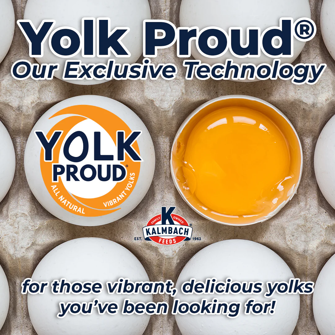 Yolk_Proud_b803d42f-f90a-48b5-b1b3-f7a0694279e5.png