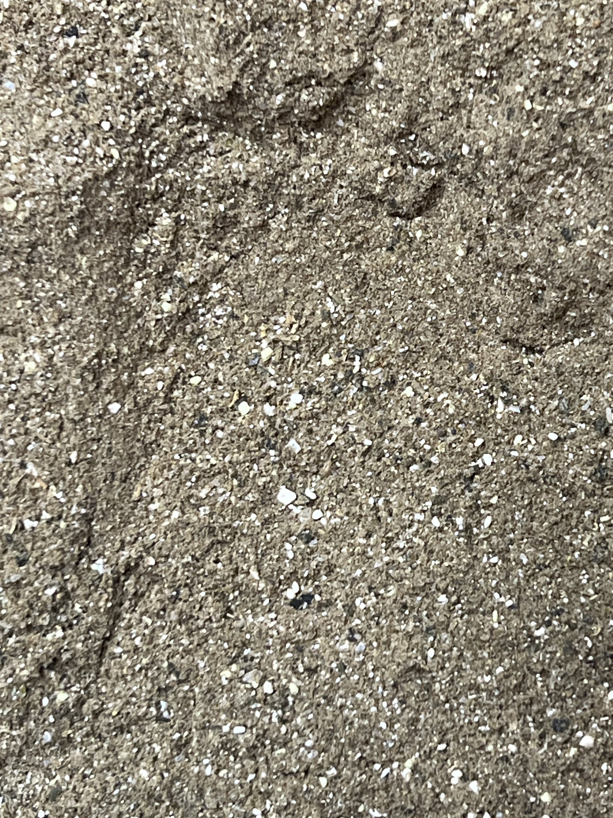 IMG_8026.jpeg