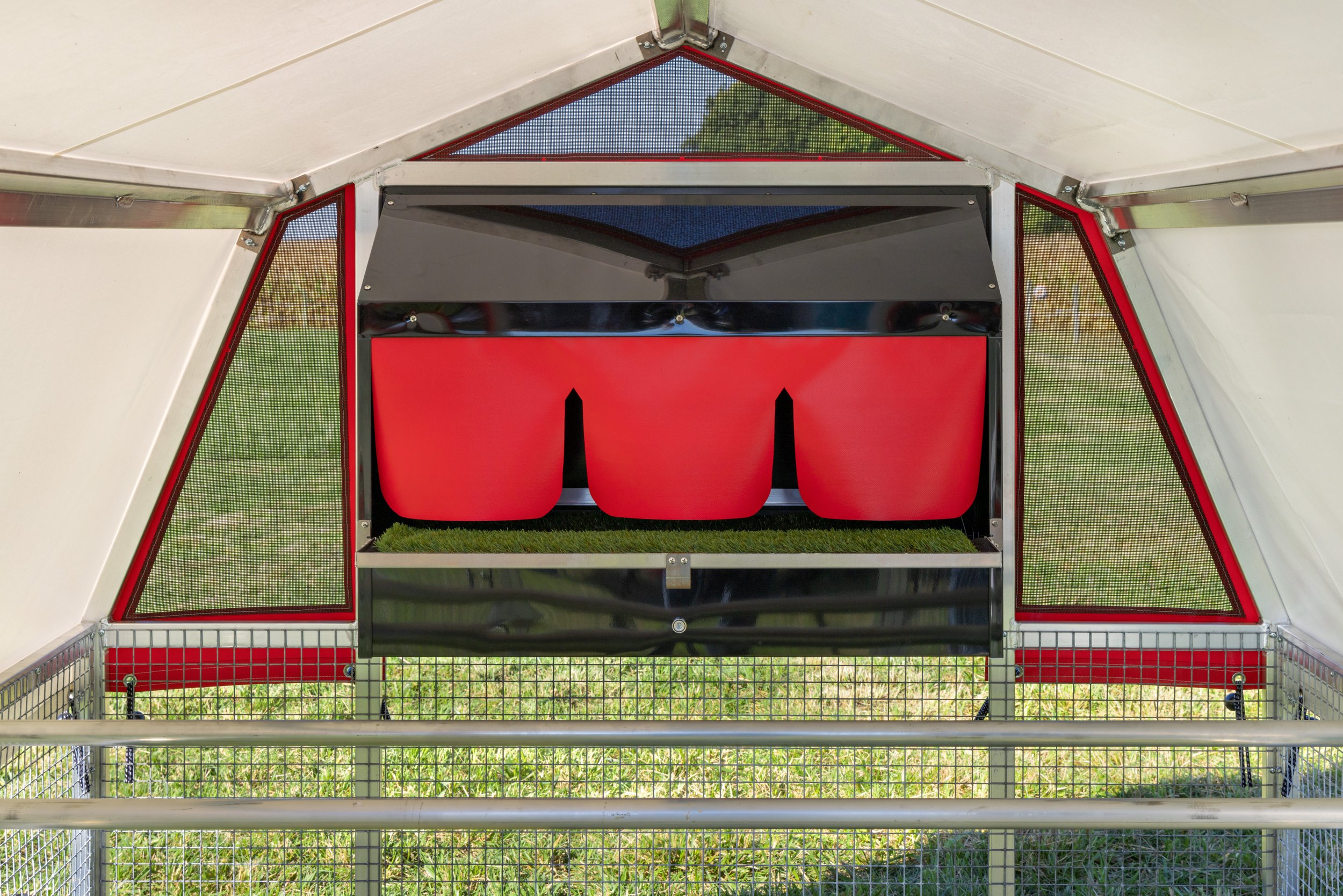 6 x 8 Redline Coop [Egg Box, Front, Laying].jpeg
