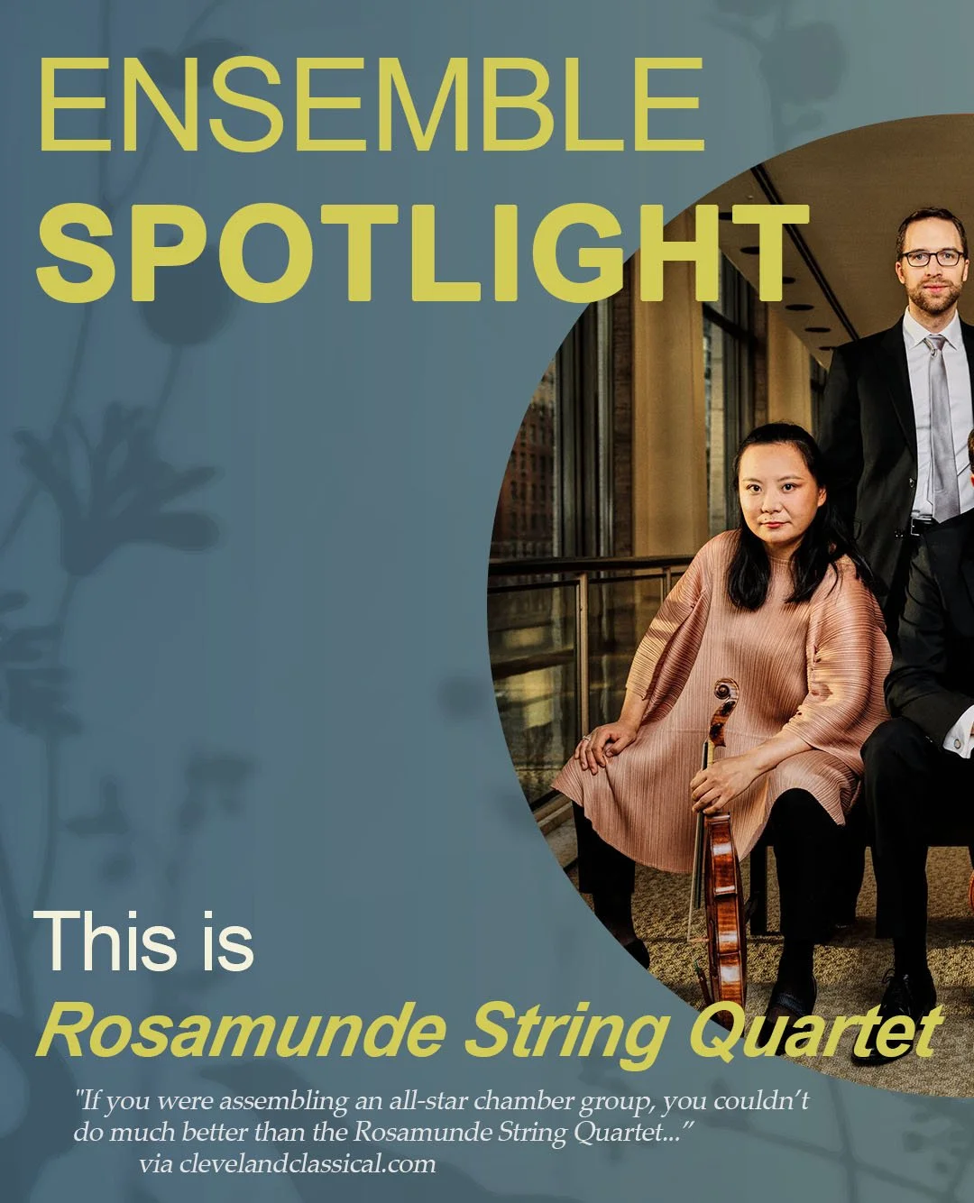 Rosamunde String Quartet- slide 1