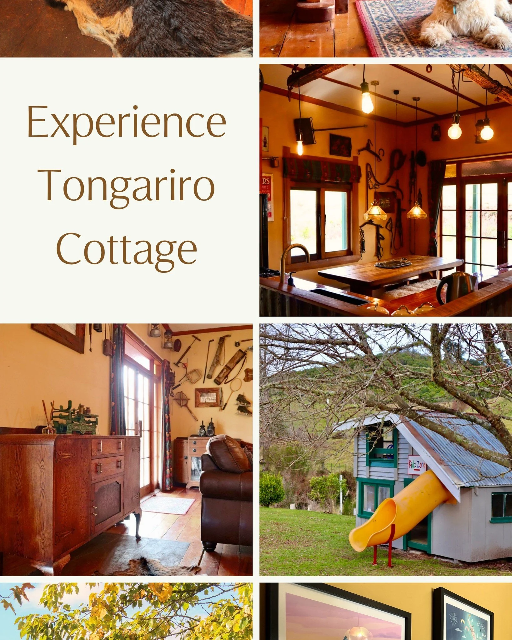 At Tongariro Cottage, life naturally slows.
No screens. No distractions. Just space to reconnect with each other and the world around you.

It is a stay that brings people closer without trying.

Experience unplugged living: www.bhode.co.nz

#bhodees