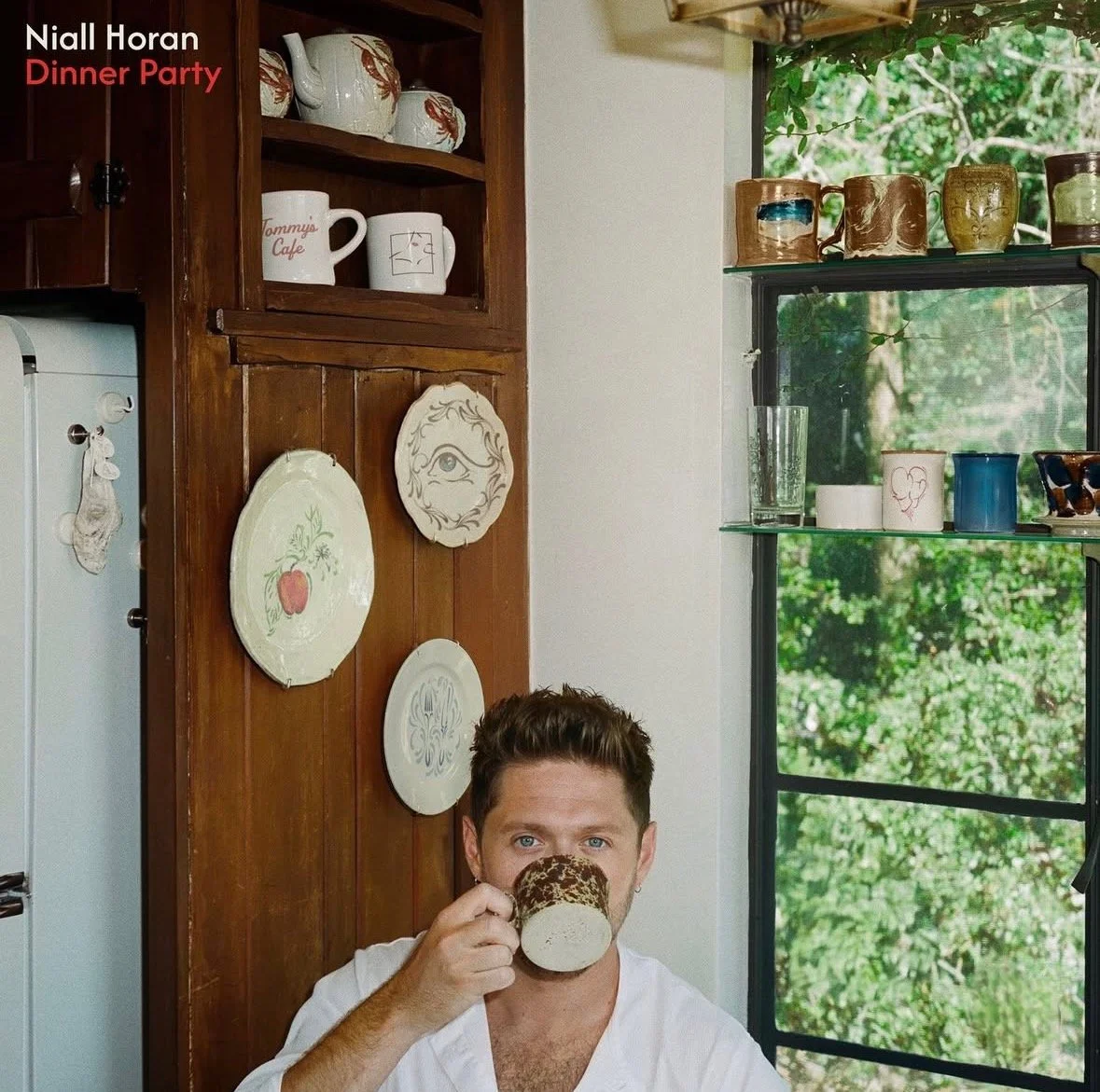 Niall Horan invites you to his “Dinner Party” with new album announcement