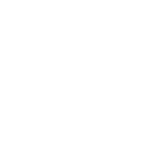 Gut health icon