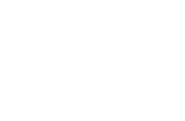 Curious to learn more, just ask Ollie PARSEEDS' Camel Unicorn