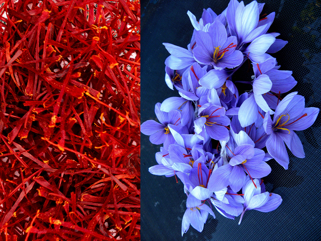 Ingredients: Highest Quality