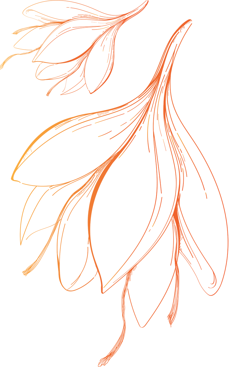 PARSEEDS saffron threads