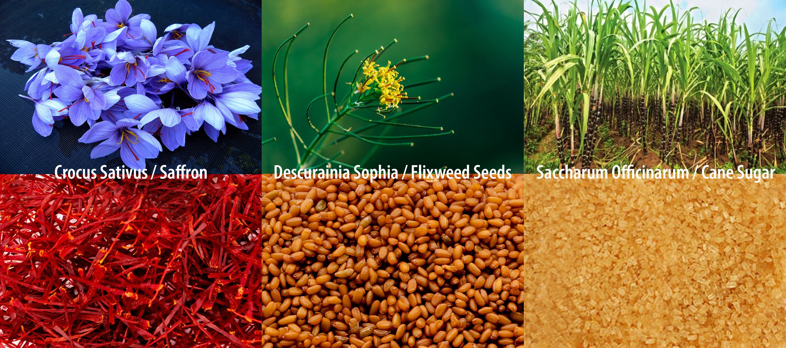 parseeds uses rare and luxurious ingredients