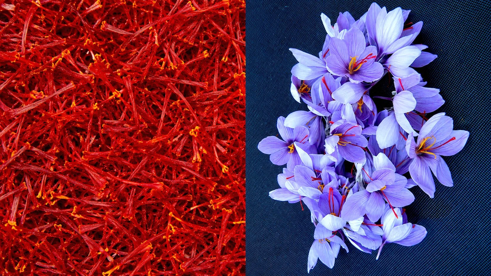 PARSEEDS uses premium negin-grade saffron