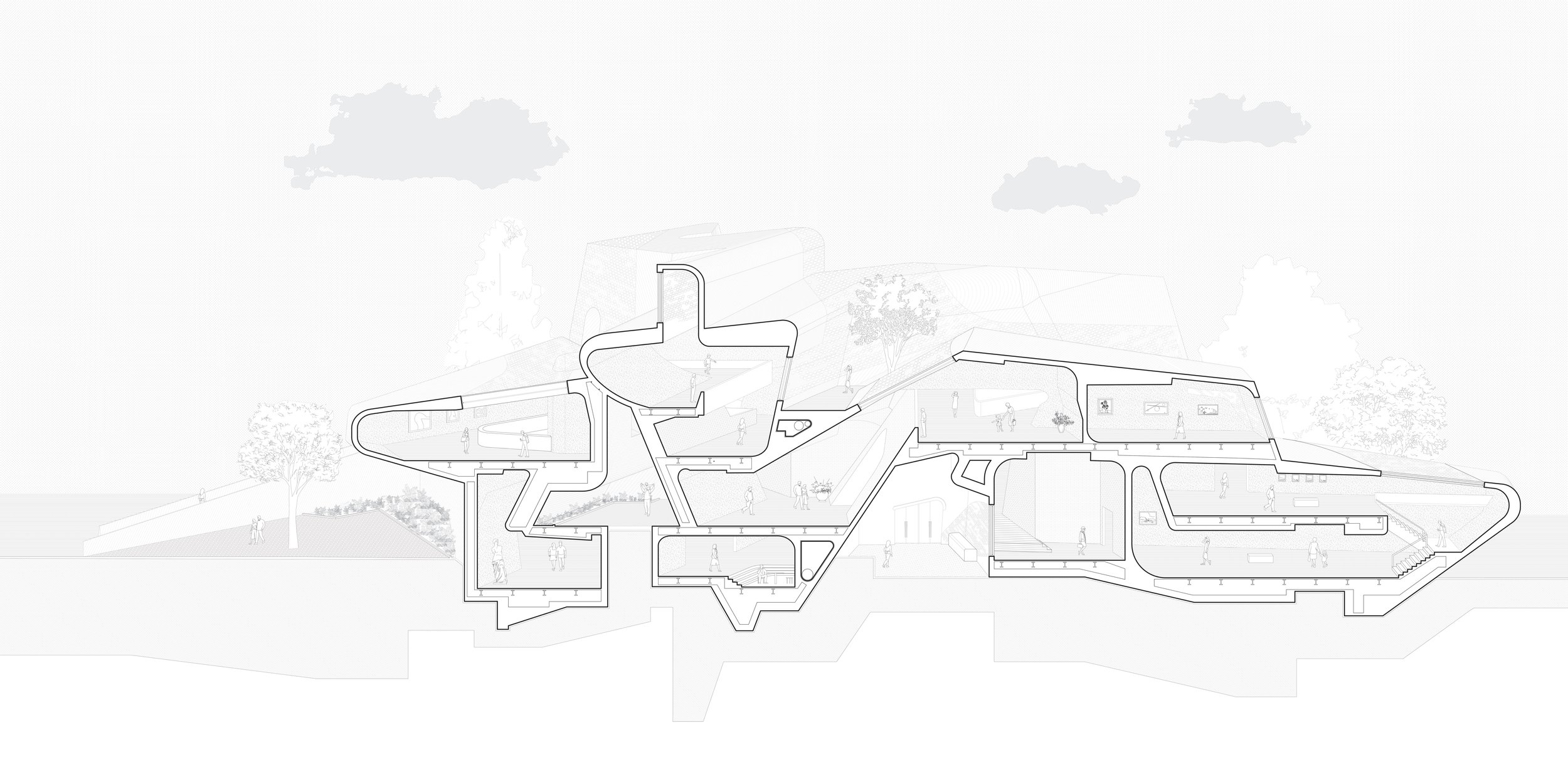 Taely Freeman_Section Perspective.jpg