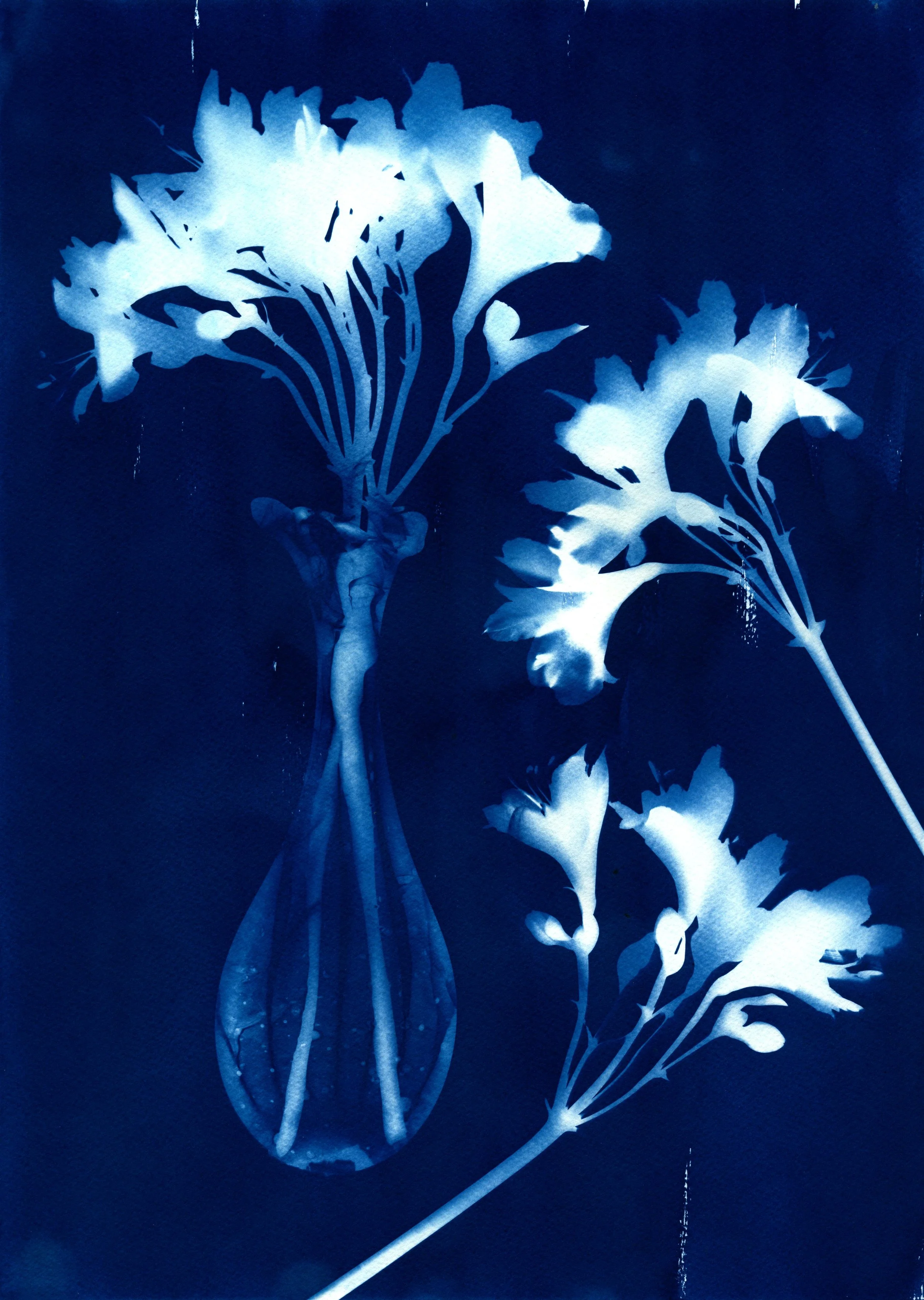 Art print 2 - Issue 1.jpg