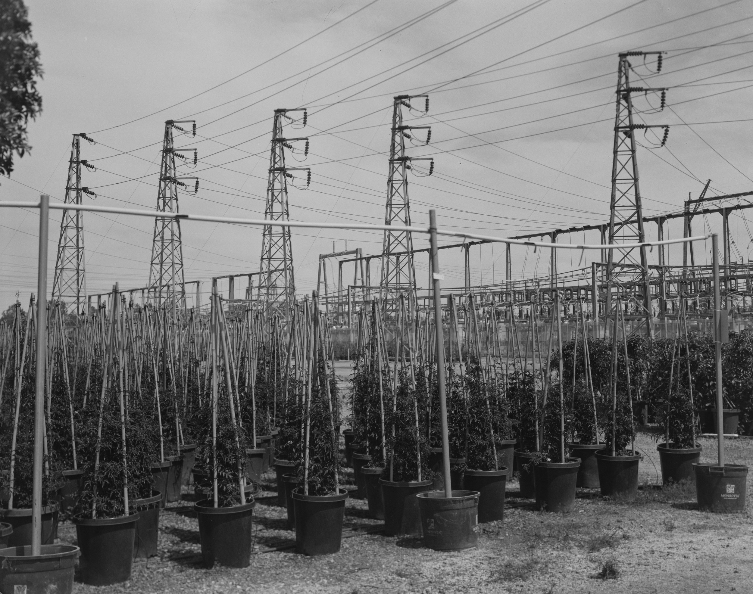 DSC08270-Pano-Edit 2.jpg