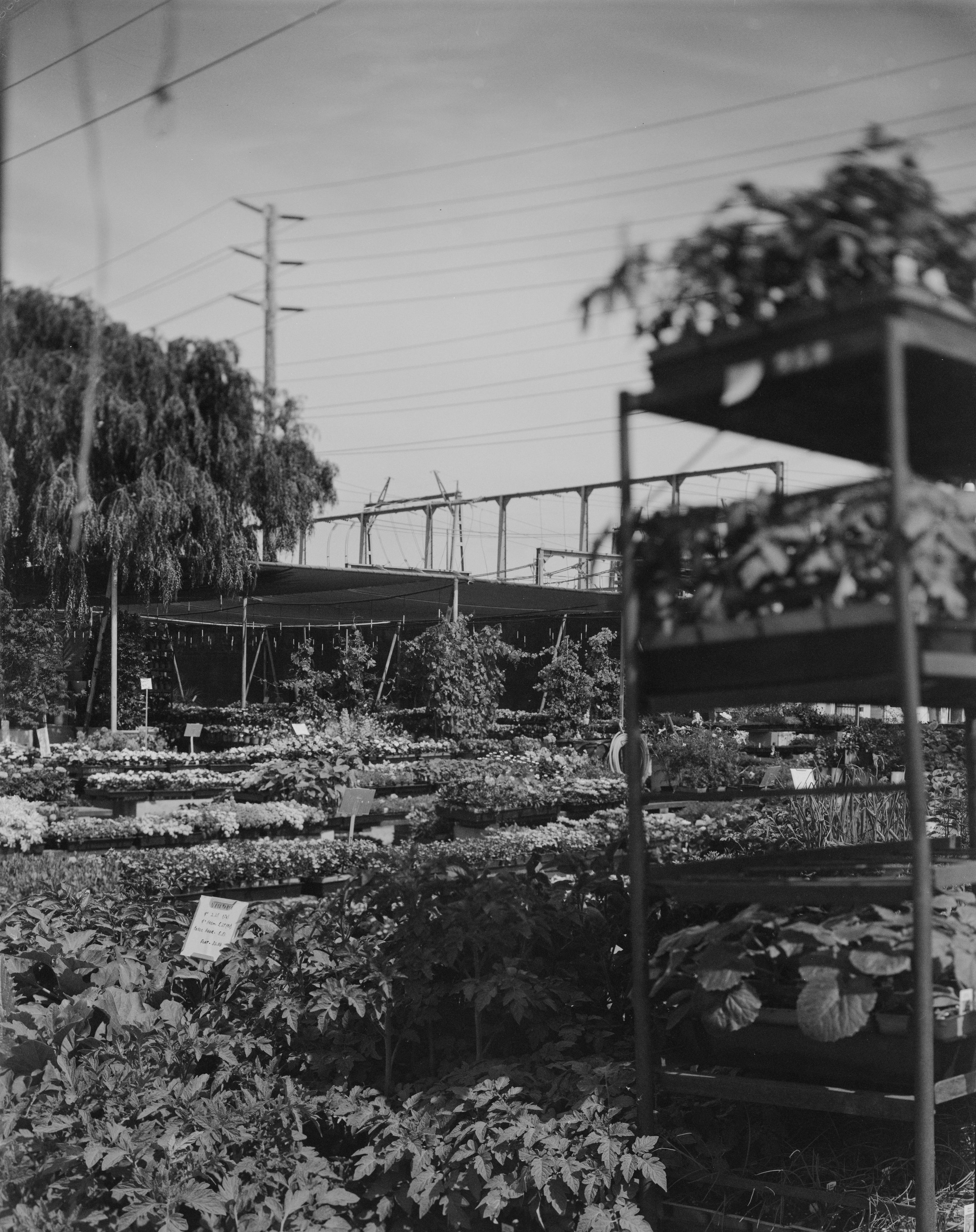 DSC08250-Pano-Edit 2.jpg