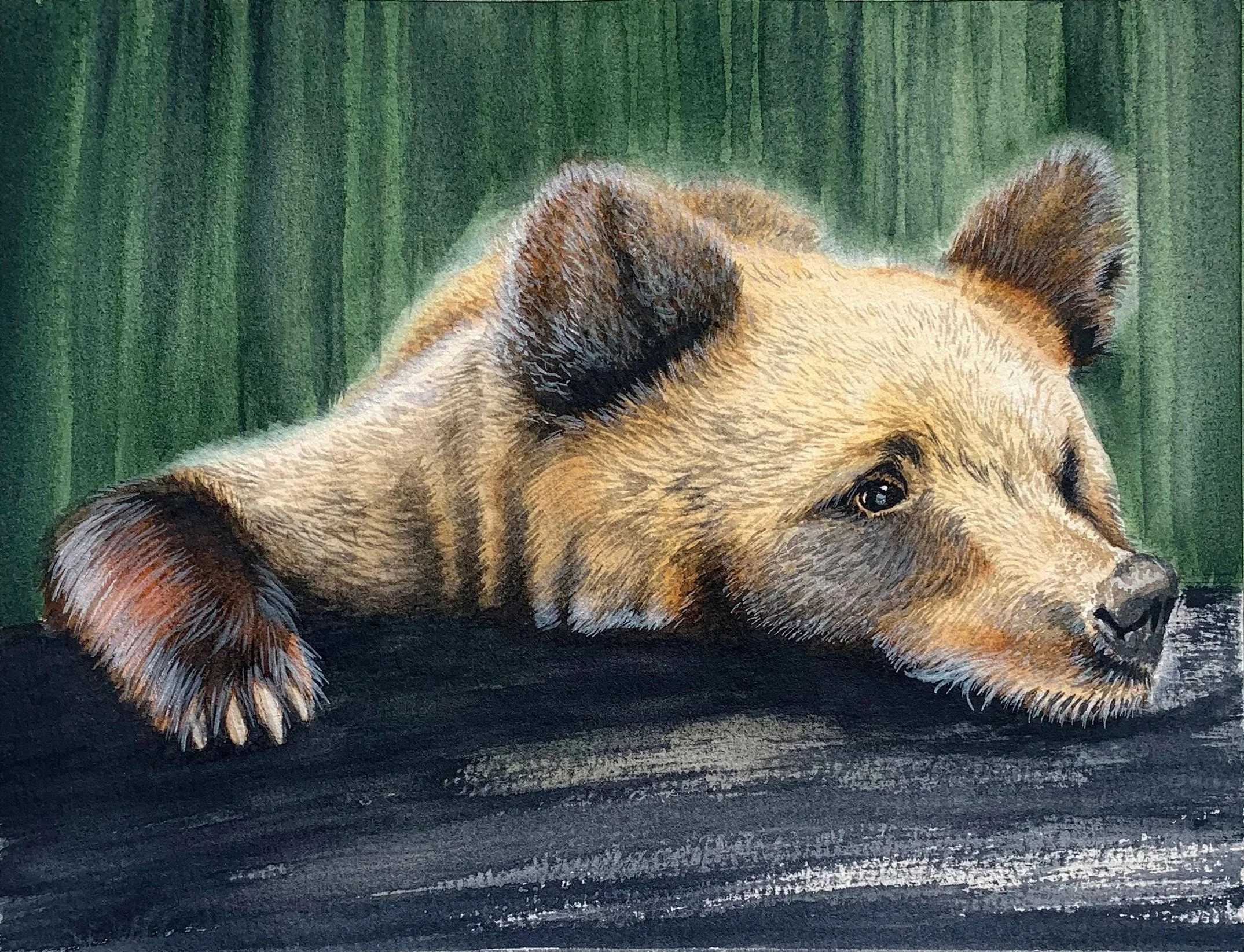"Kodiak Bear" - by Ann-maree Morgan