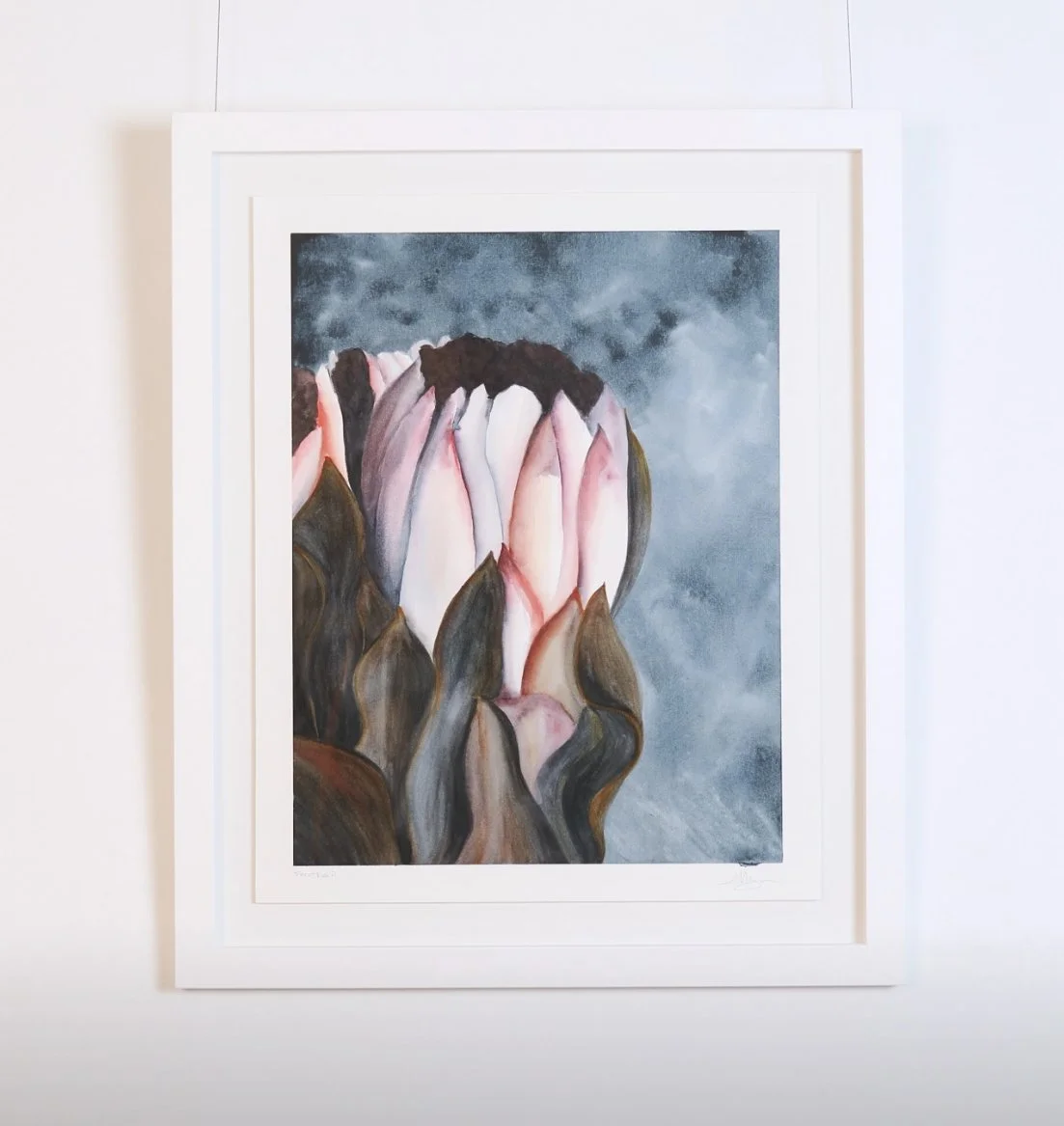 Protea ii_Framed.jpg