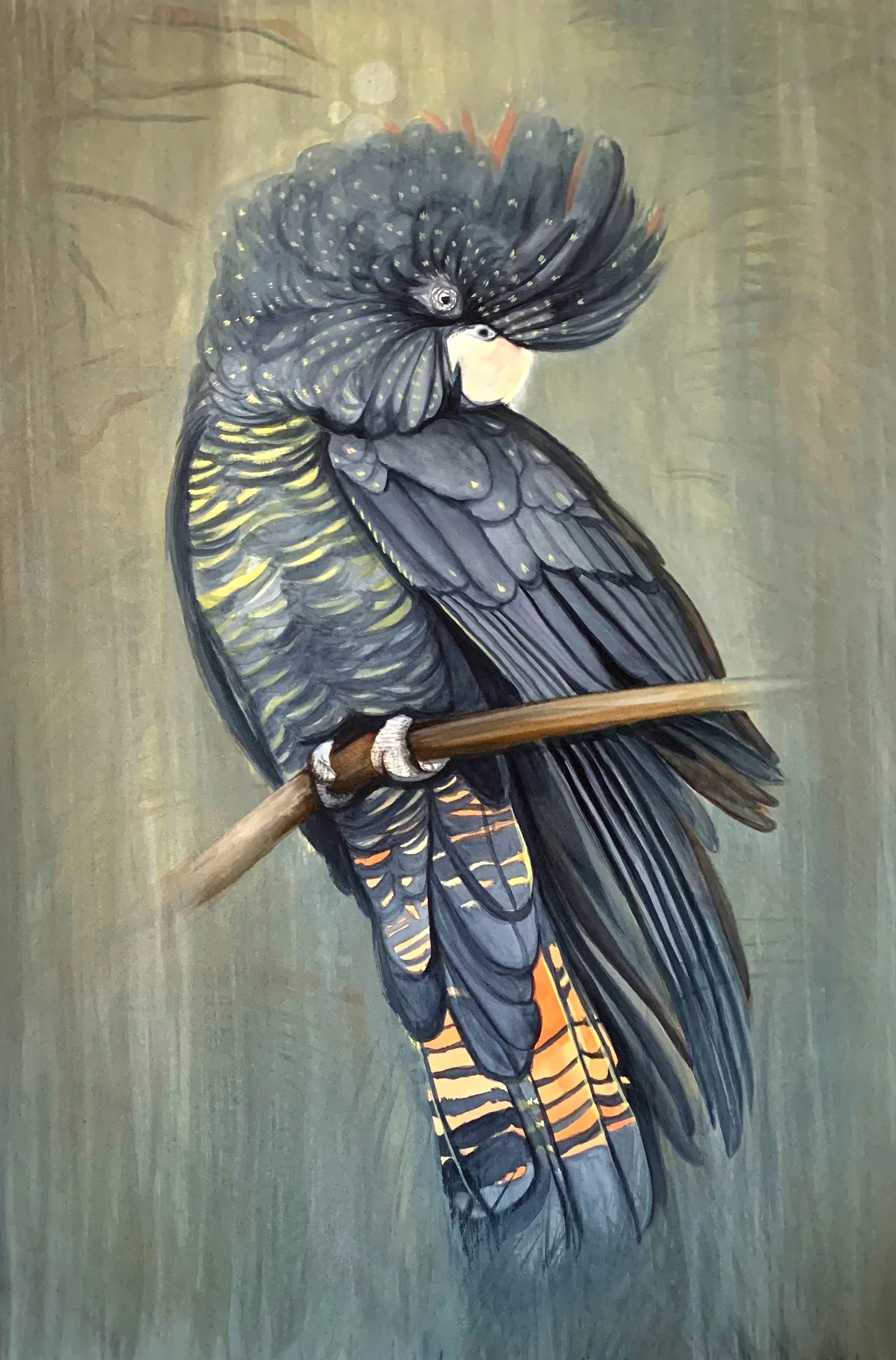 BlackCockatoo_Available_Web.jpg