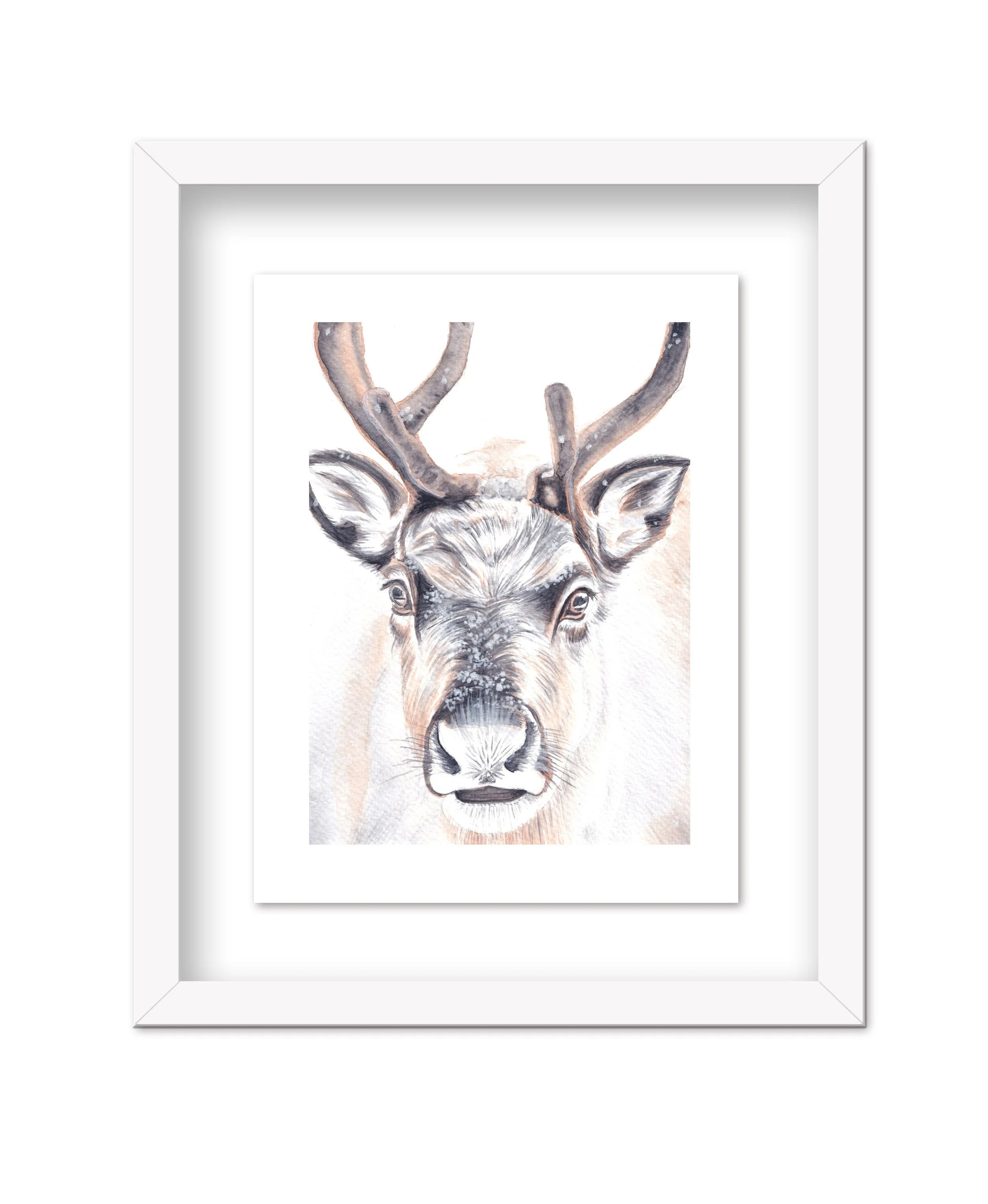 Reindeer_2026_Framed_Web.jpg