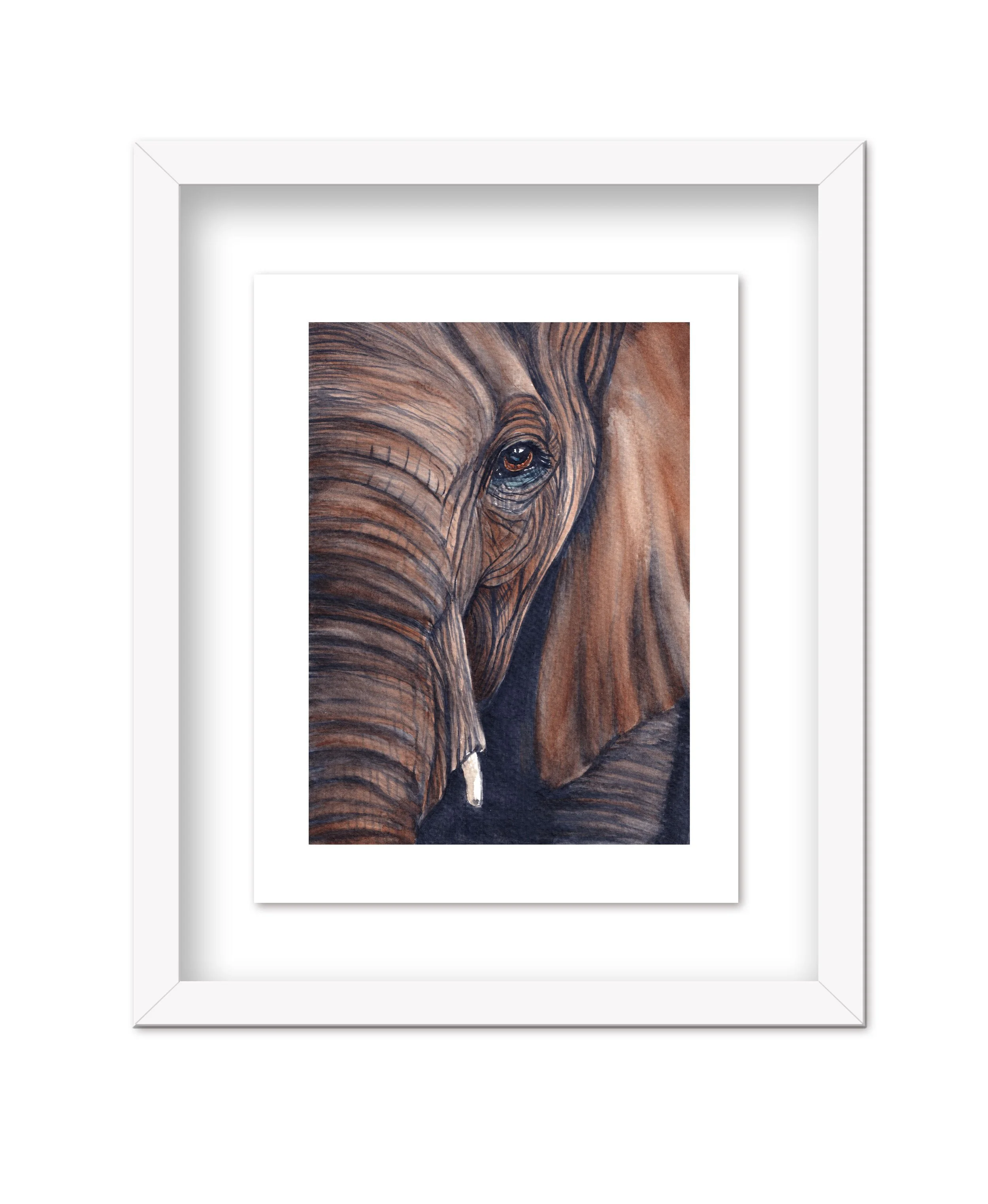 Elephant-Close-Up_2026_Framed_Web.jpg