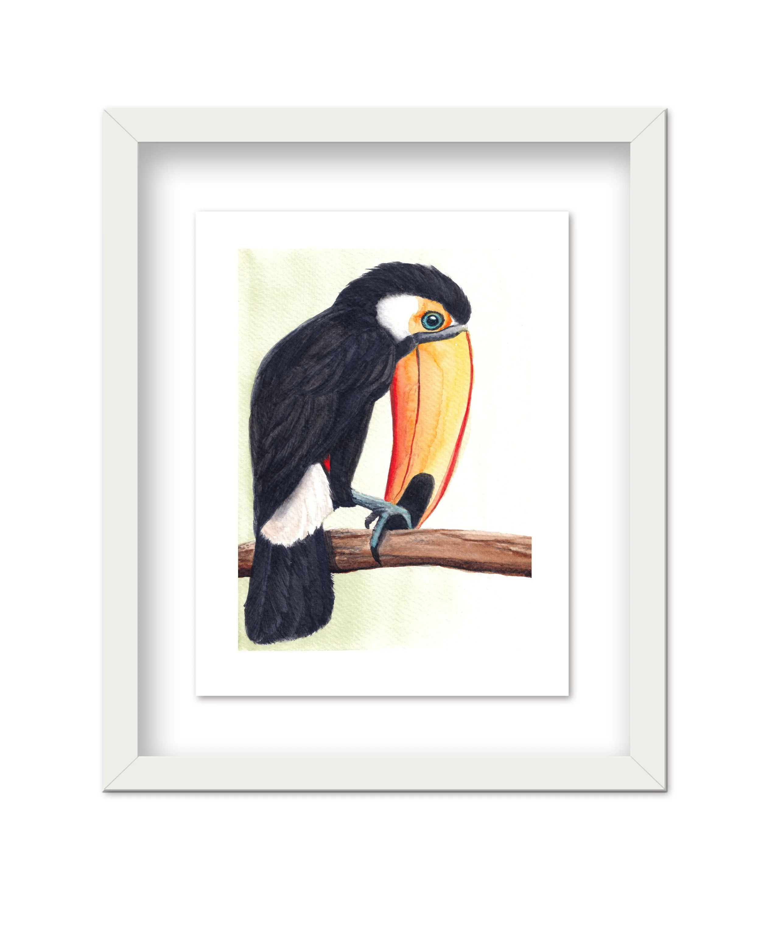 Tucan_2026_Framed_Web.jpg