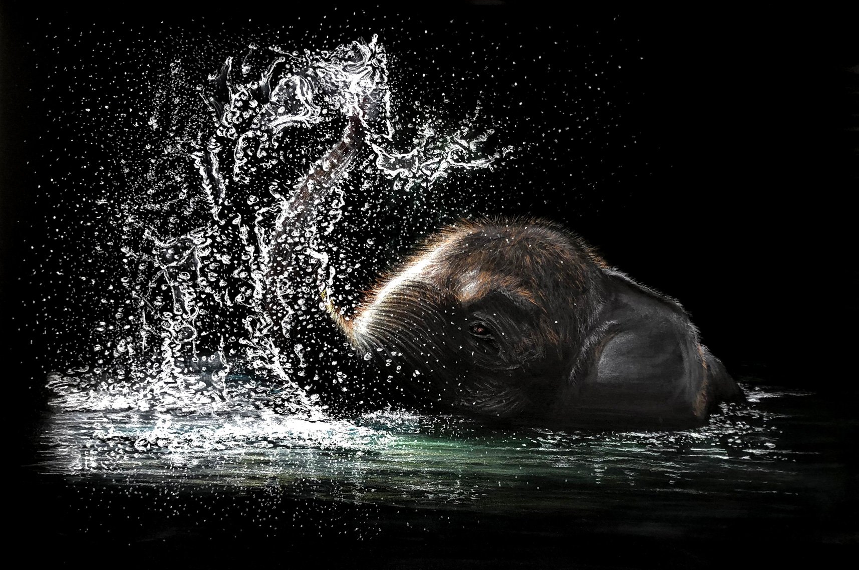 "Majesty At Play" - Baby Asian Elephant by Ann-maree Morgan