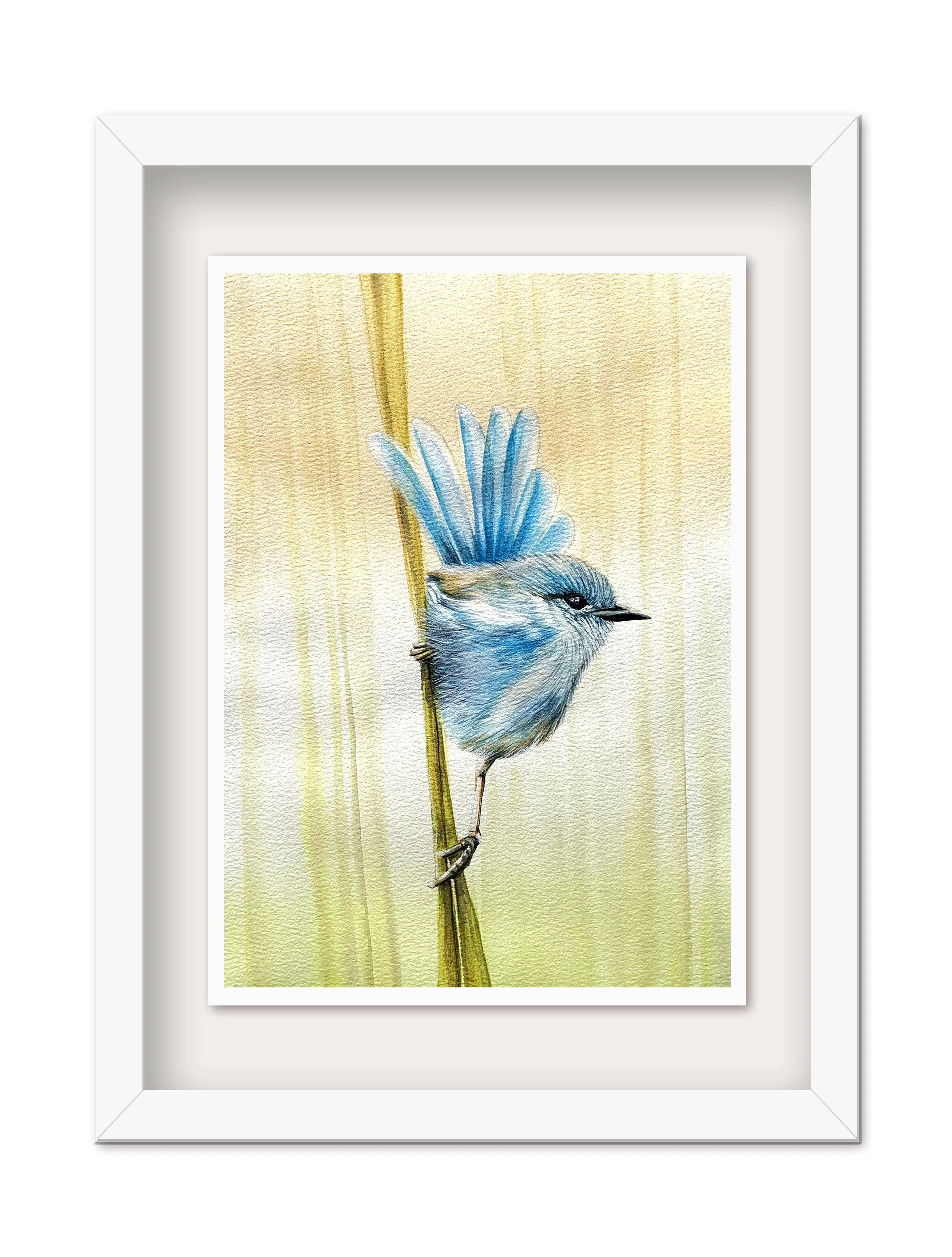 FairyWren_Framed.jpg