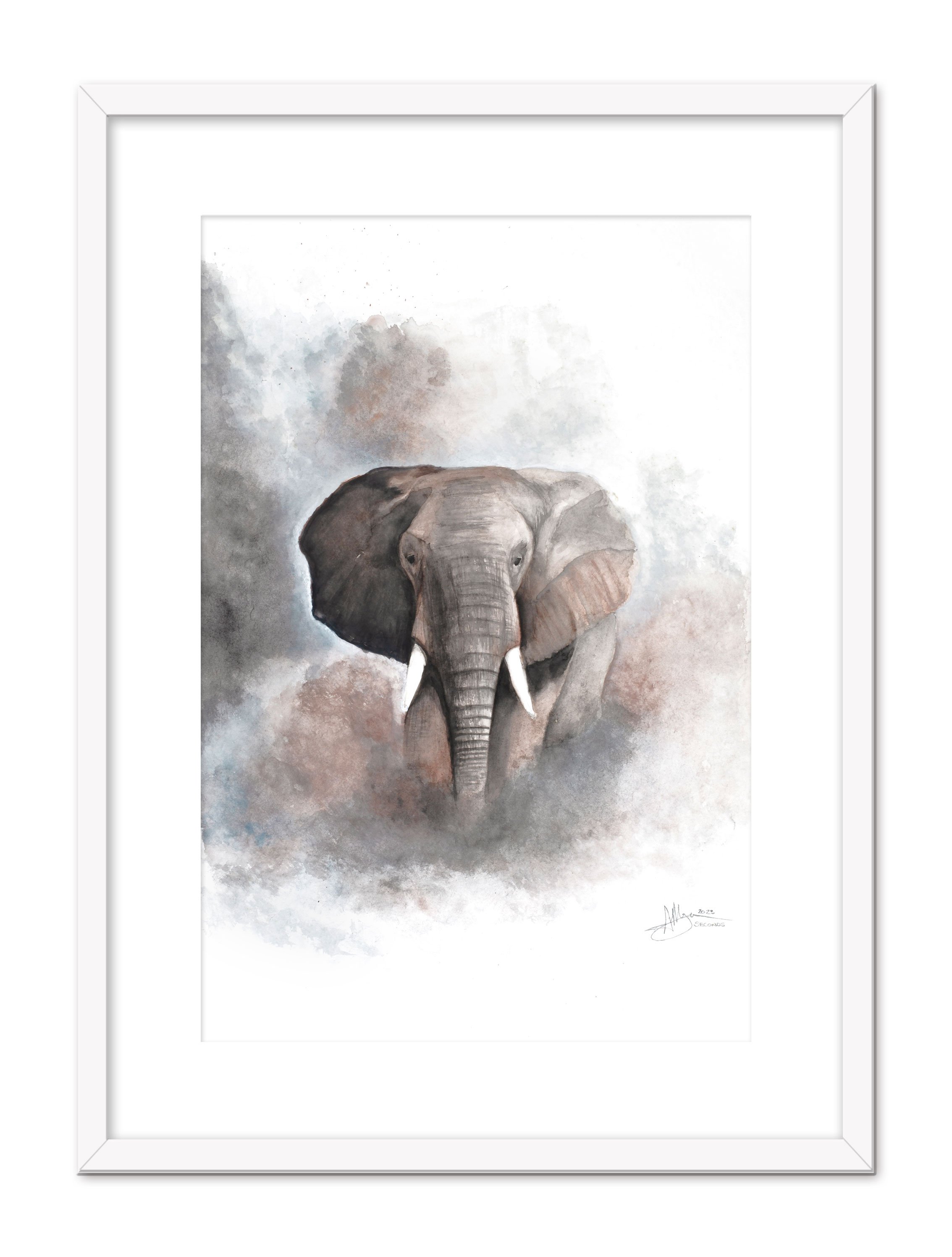 ElephantWatercolourFramed.jpg