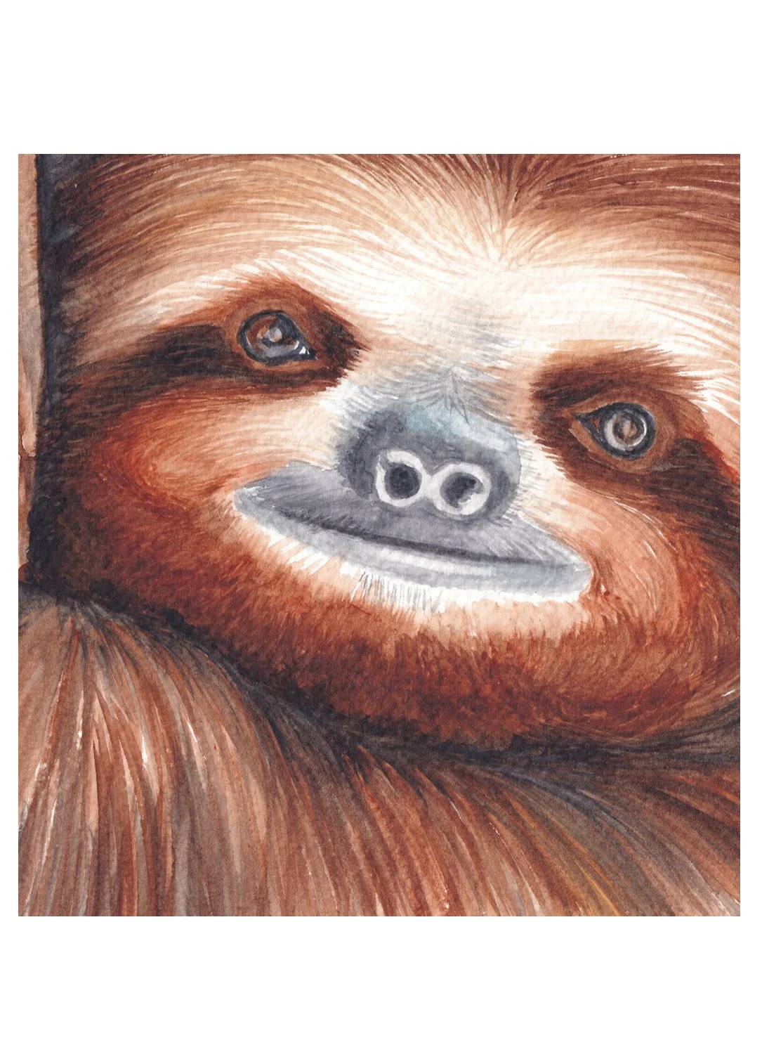 Sloth_Sold_Web.jpg