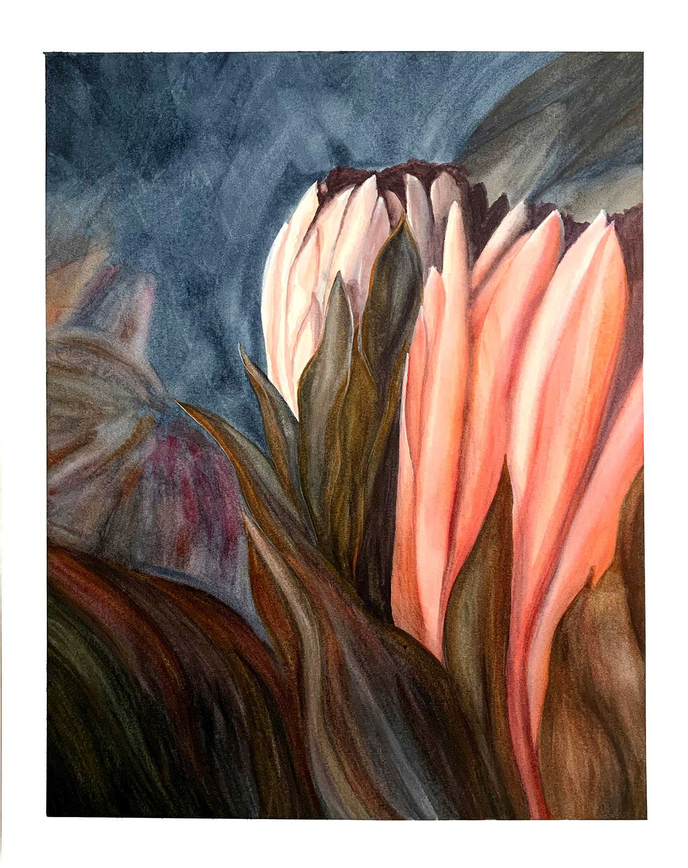 "Protea i" -by Ann-maree Morgan