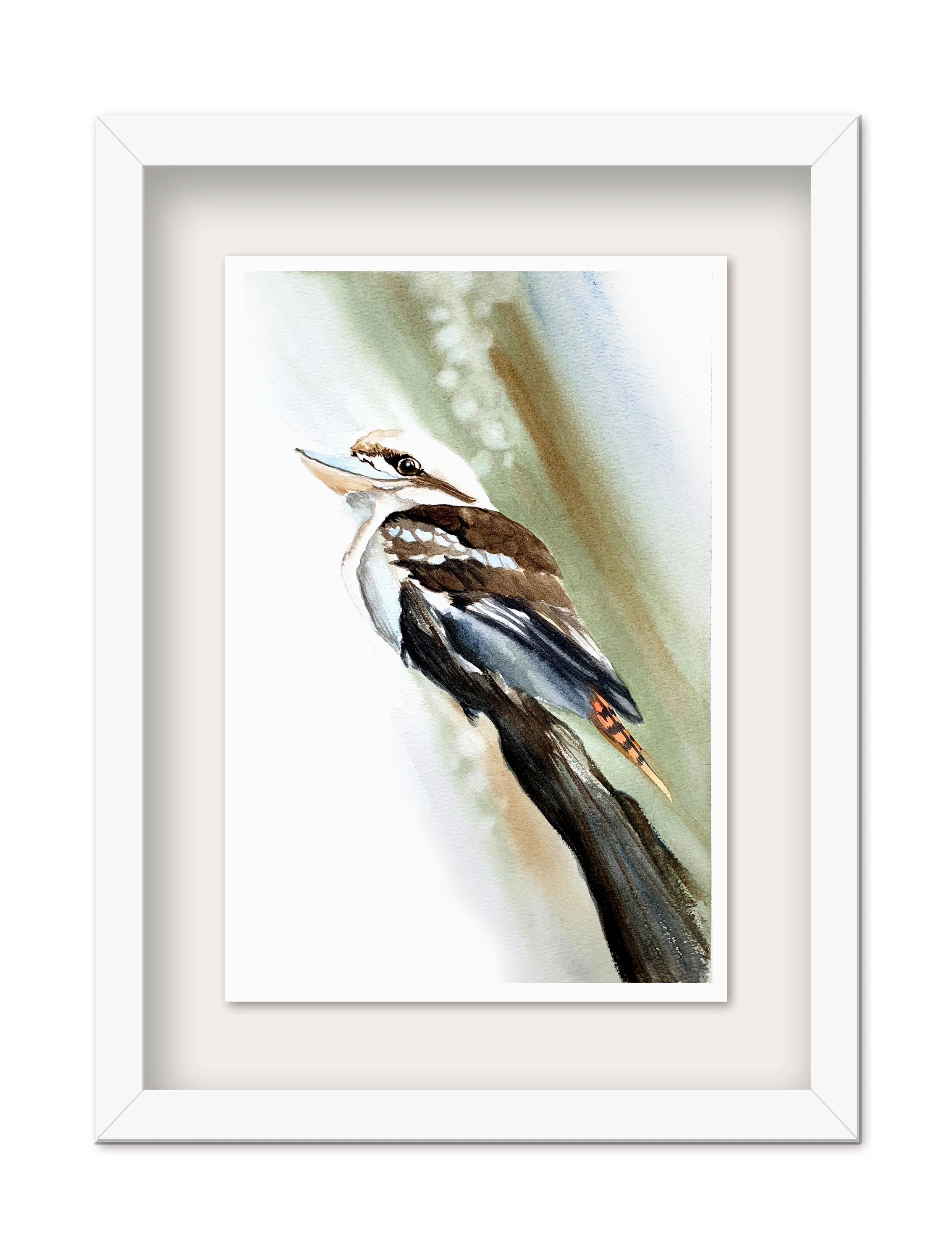 Kookaburra-Framed.jpg