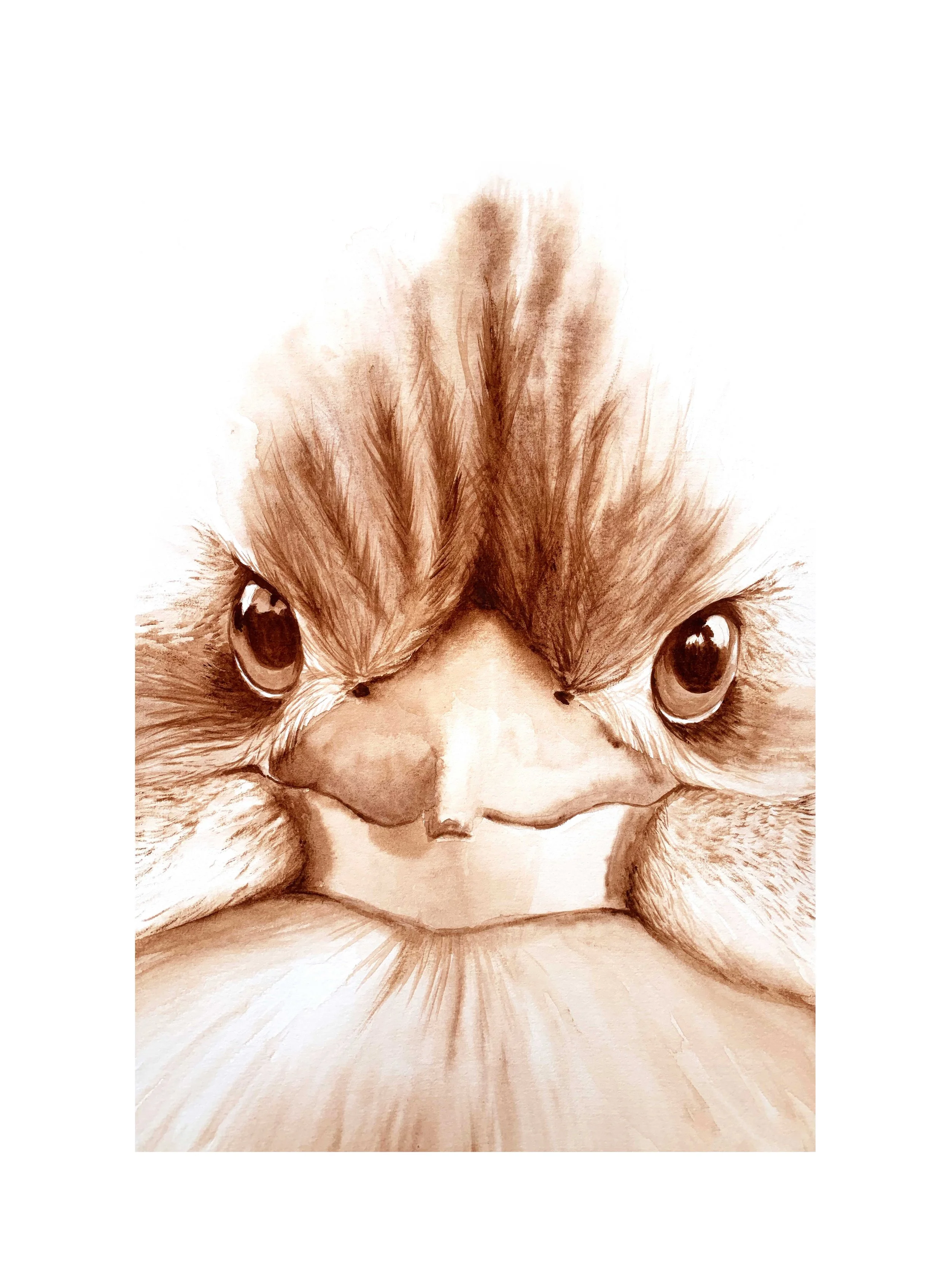 "Baby Burra" -by Ann-maree Morgan