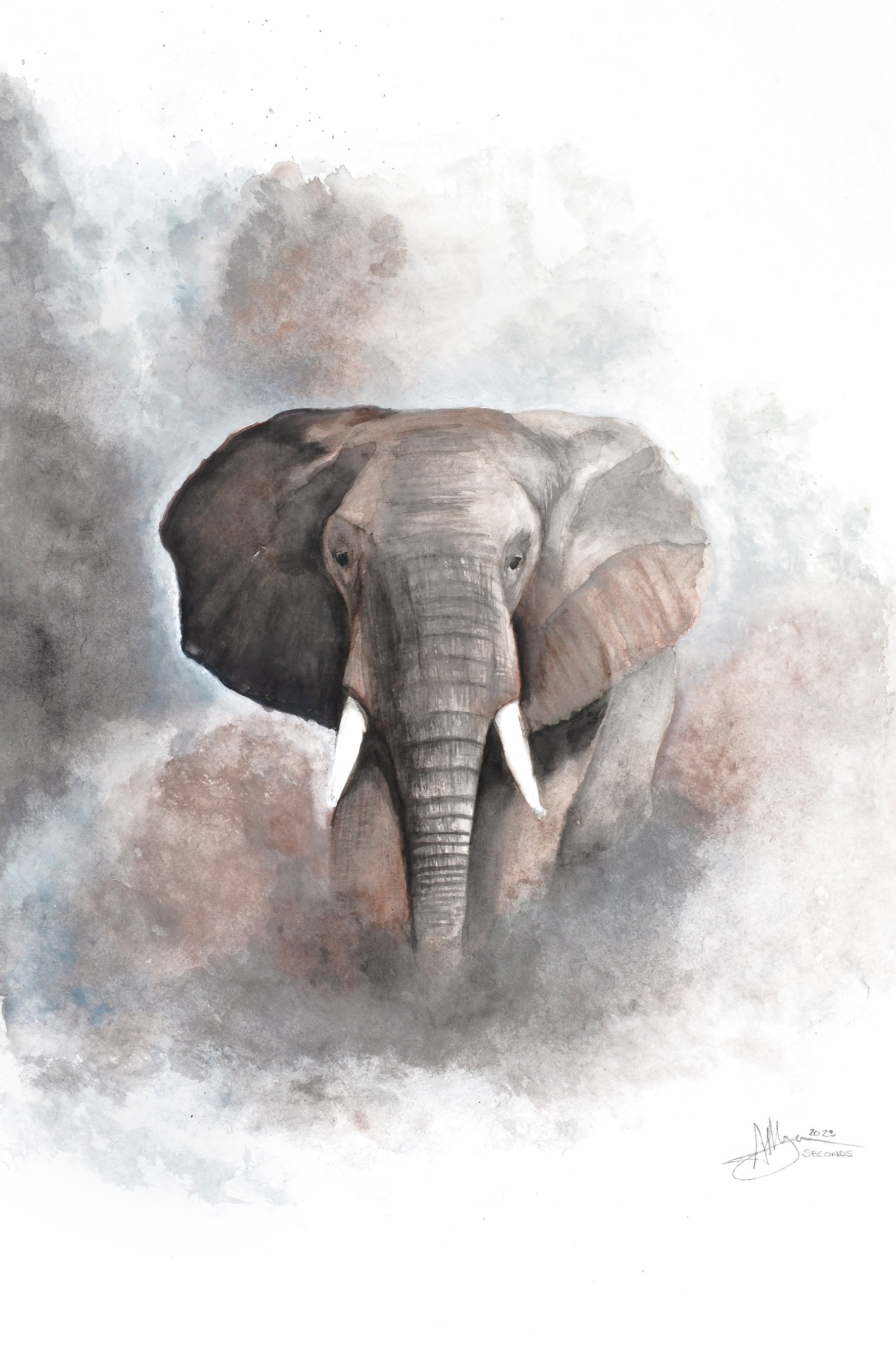 "Seconds" - African Elephant by Ann-maree Morgan