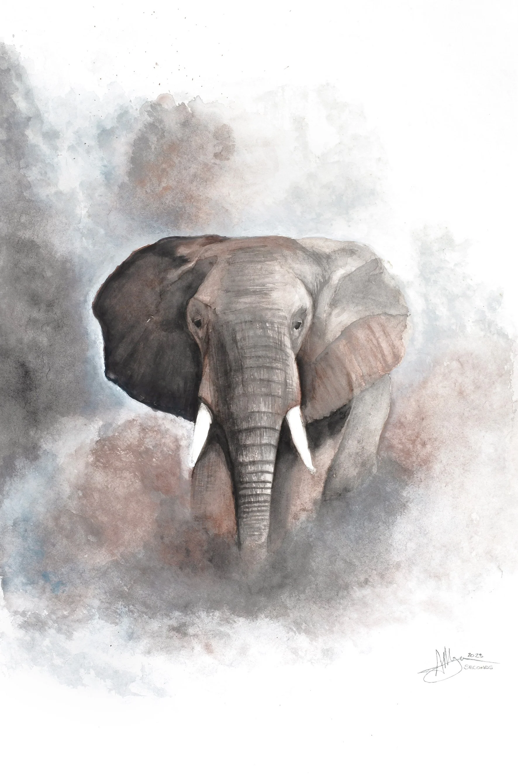 ElephantWatercolour.jpg