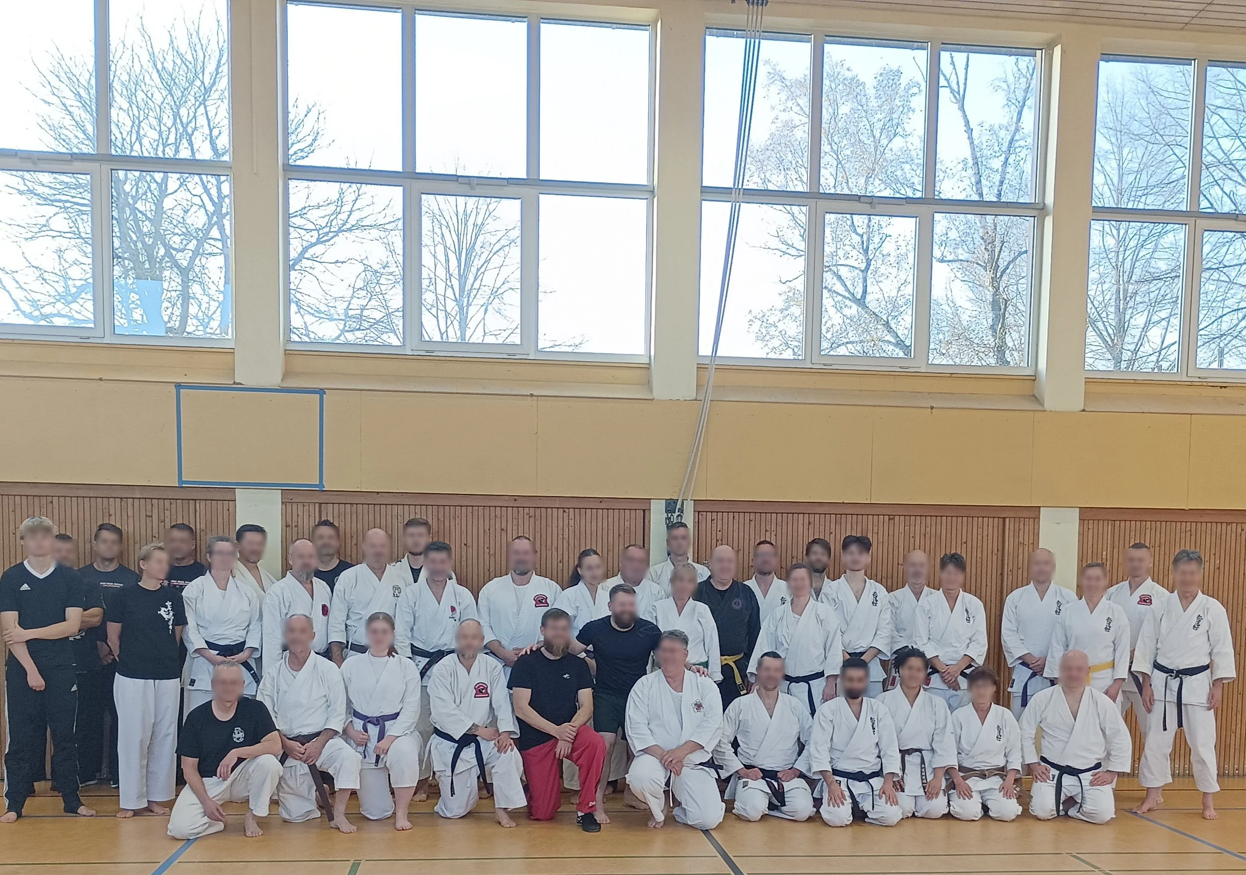 Before Words, The Instinctive Morality of Martial Arts