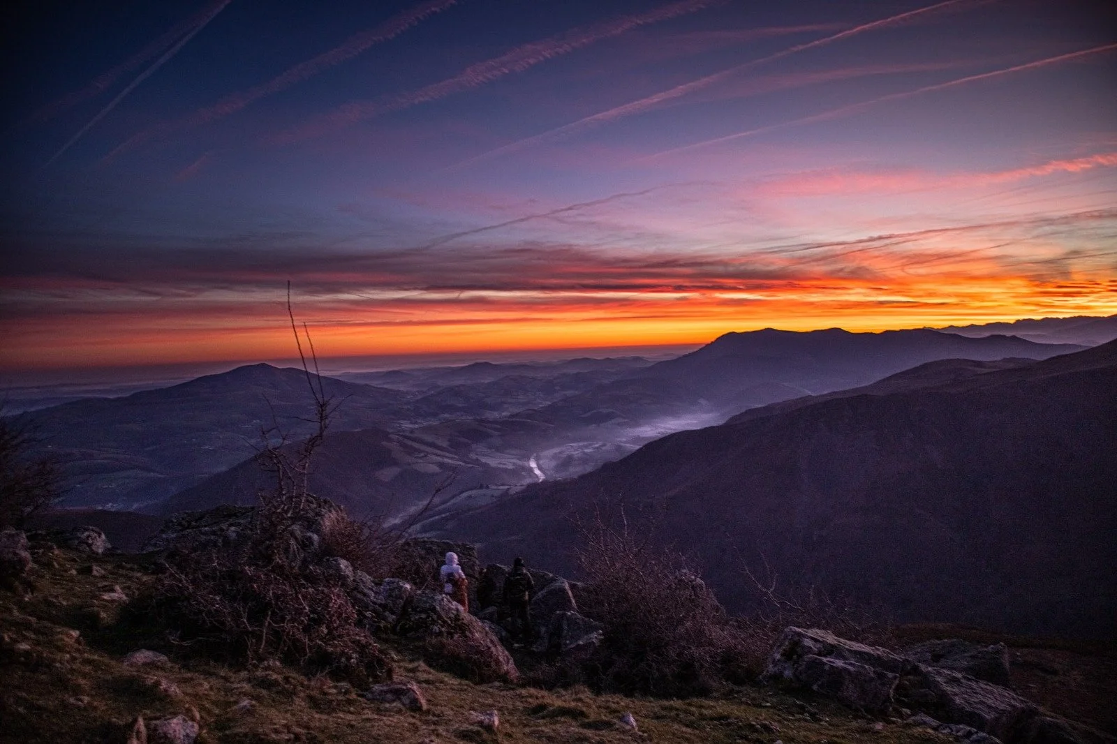 Maybe real understanding doesn’t begin with language, but with meaning and movement.

(Picture compliments of my friend(