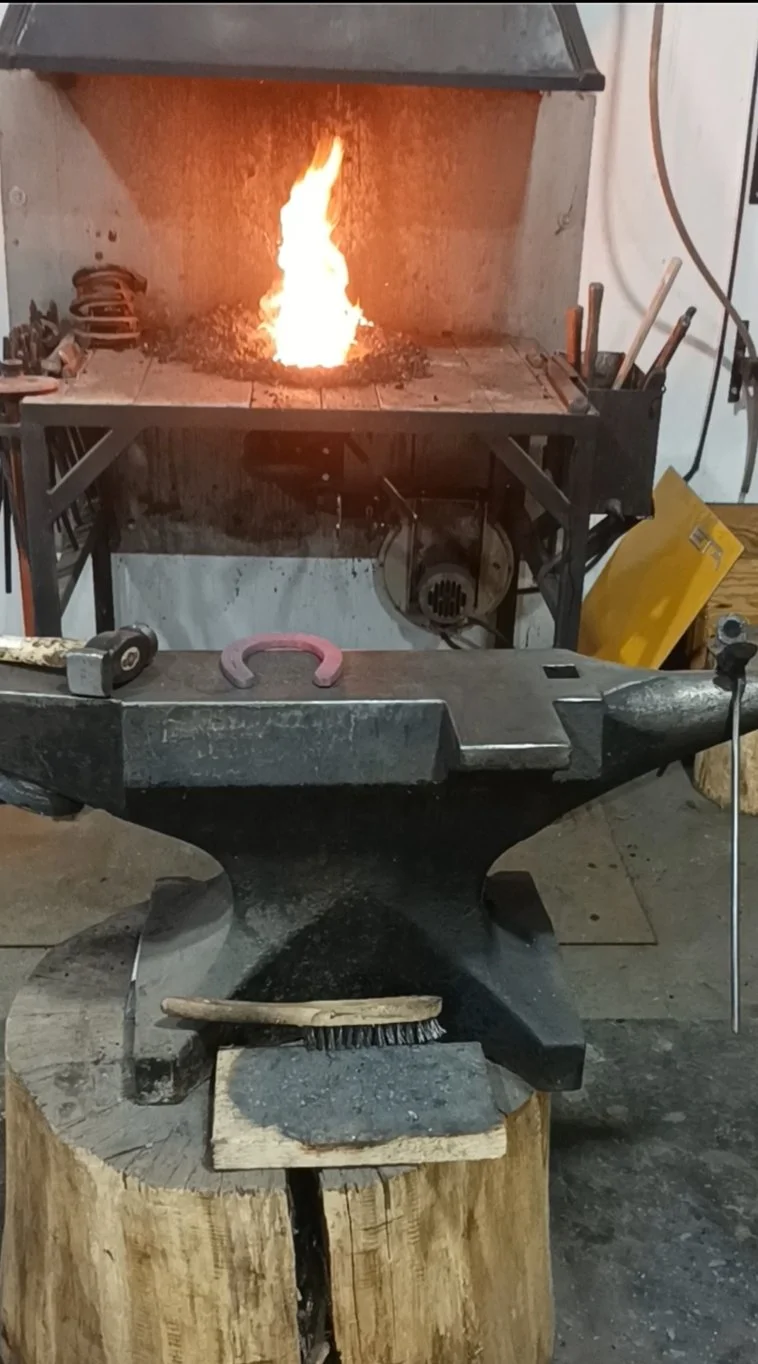 Without roots, it’s hard to grow upward.