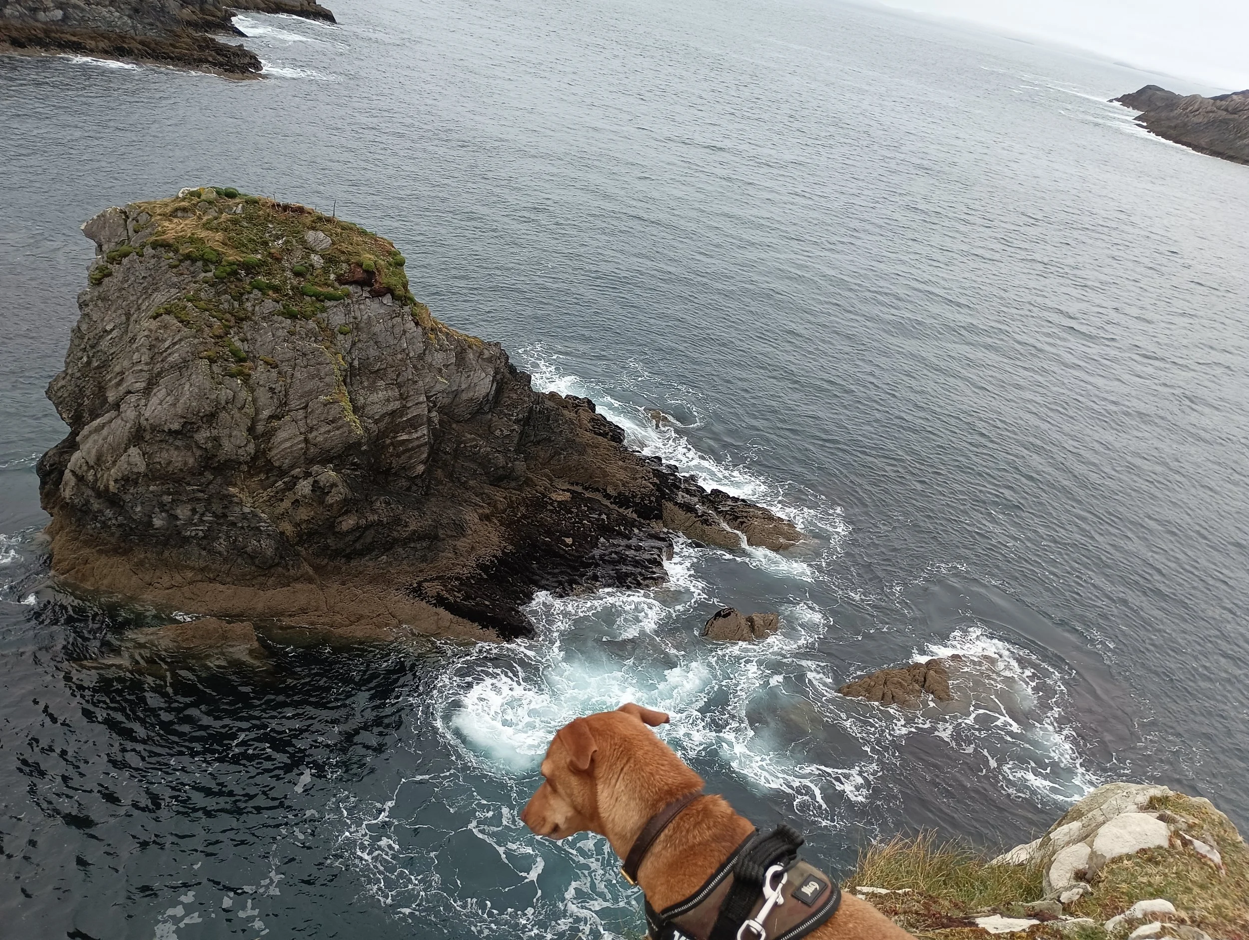 Some men leave legends some men leave property some men leave scars
I want to leave a lineage.