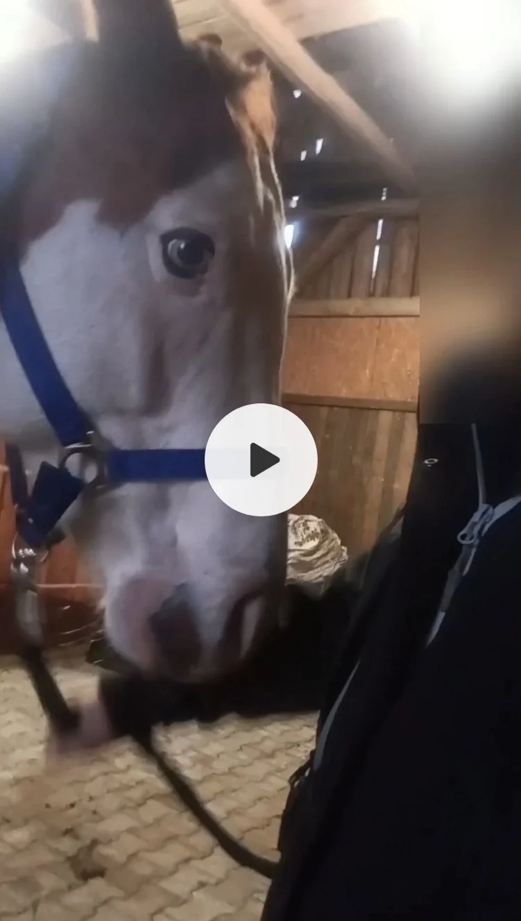 Trust is earned in small ways.