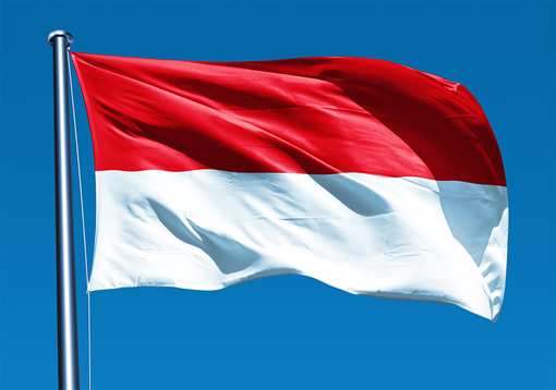 Indonesia IELTS user review