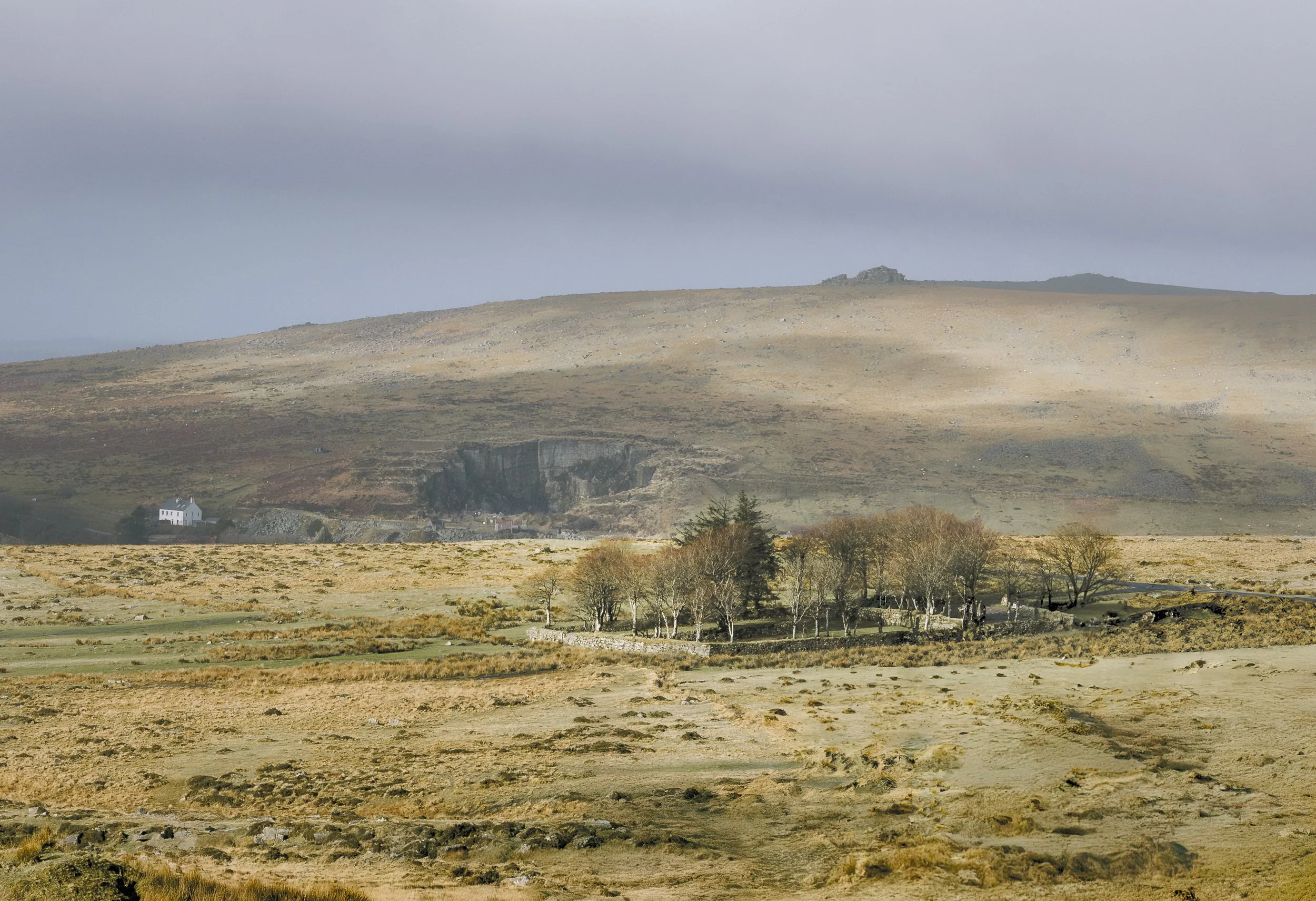 A landscape with a small group of trees enclosed by a stone wall in a grassy area, with rolling hills and a cloudy sky in the background.