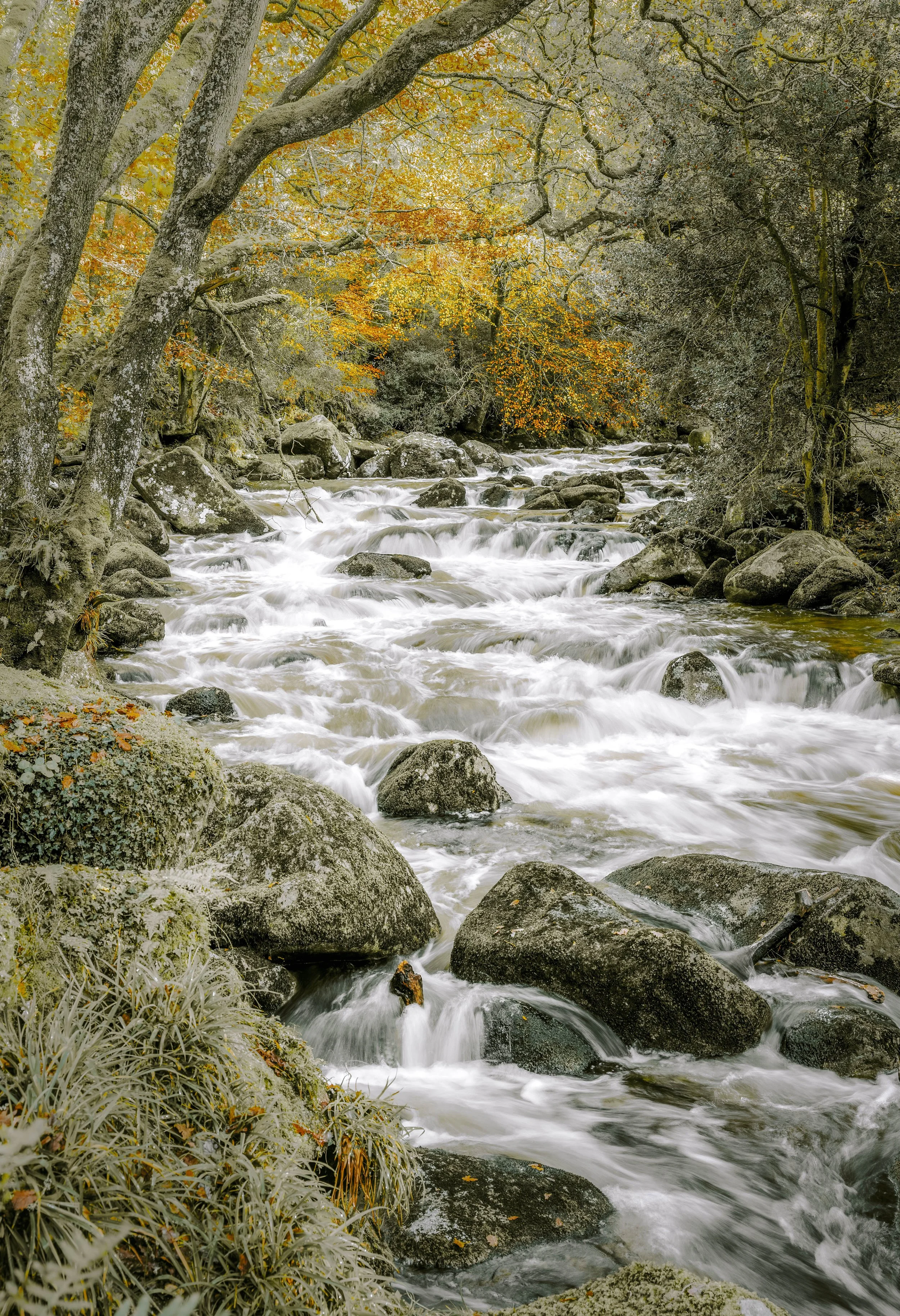The Fall at Dewerstone